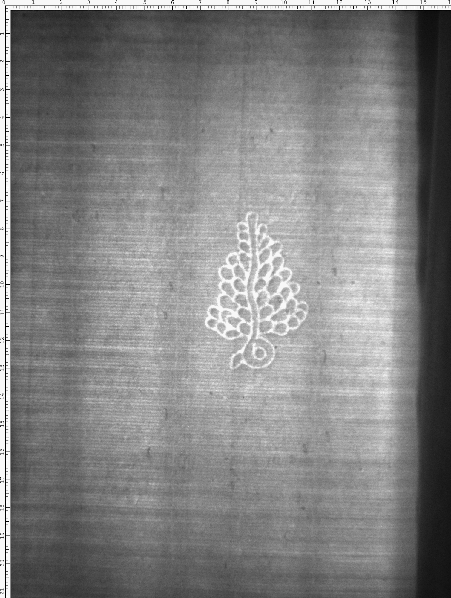 Watermark