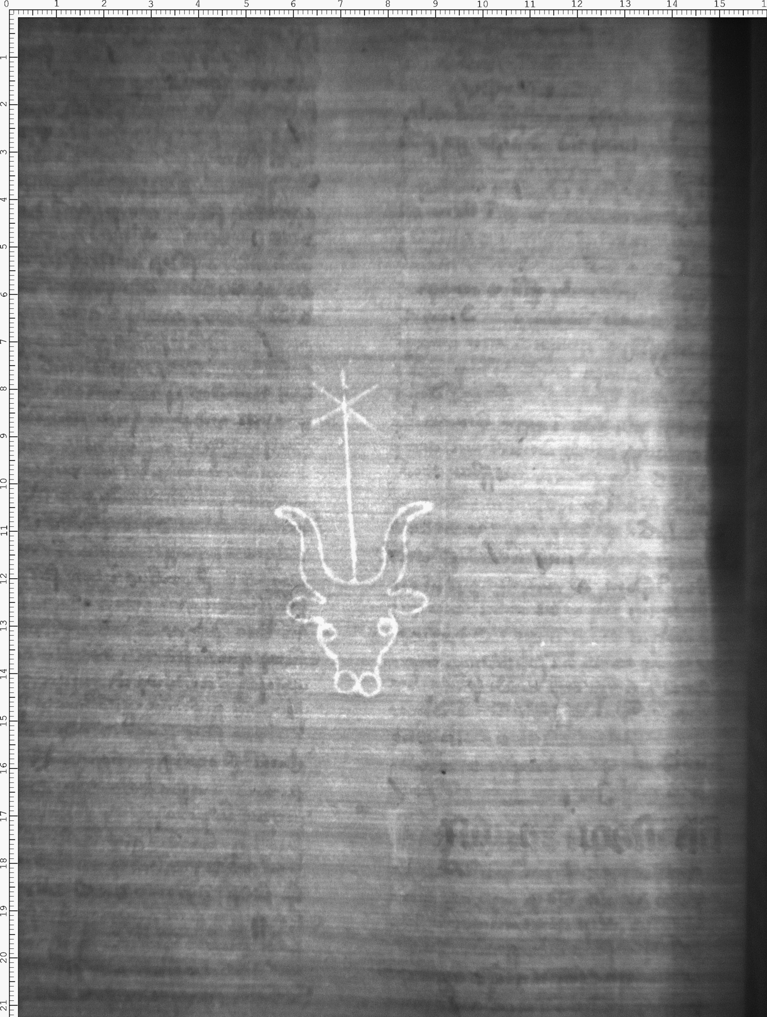 Watermark