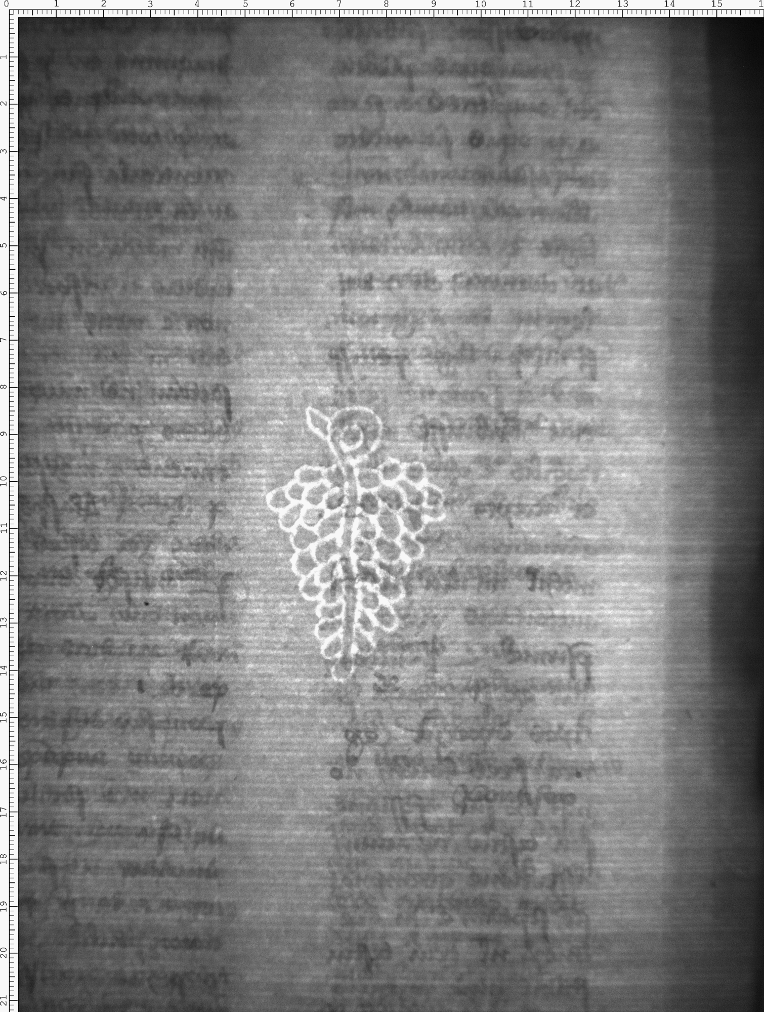 Watermark