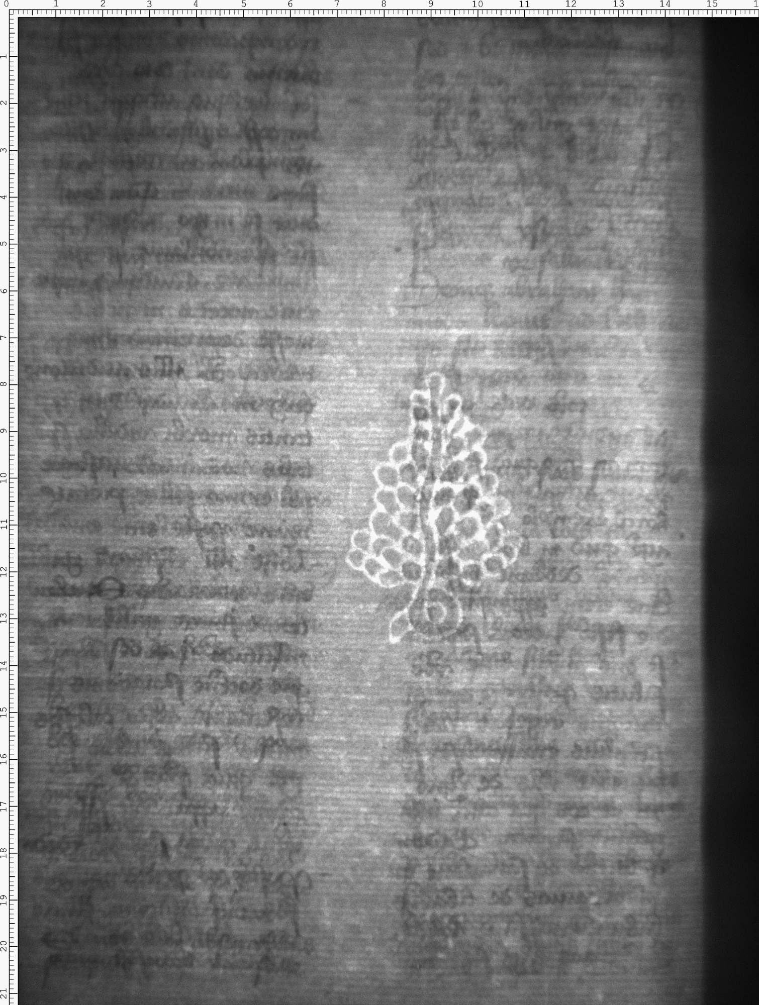 Watermark