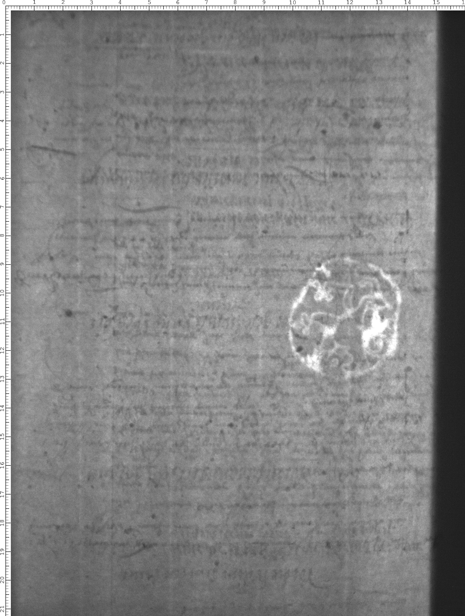 Watermark