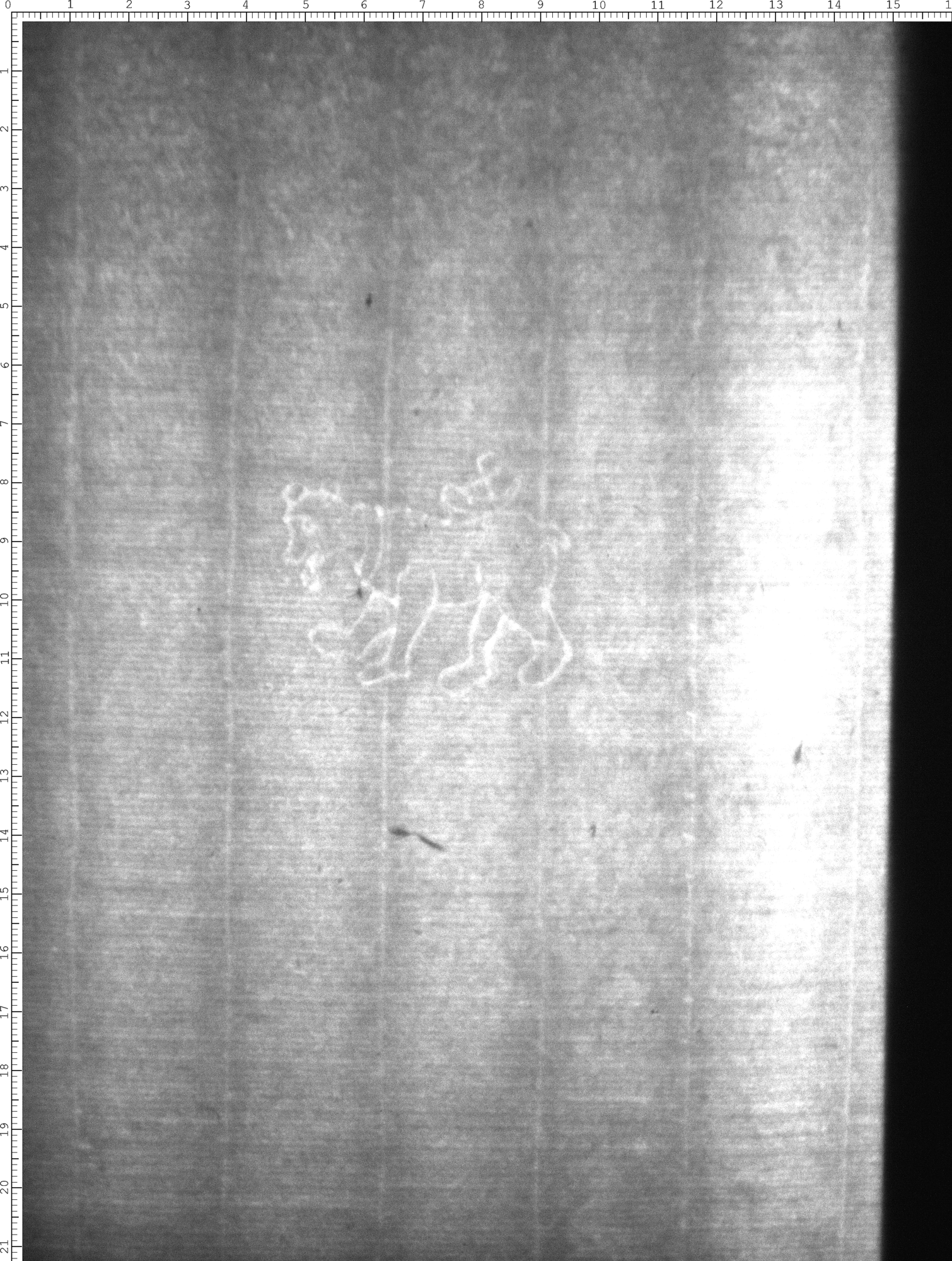 Watermark