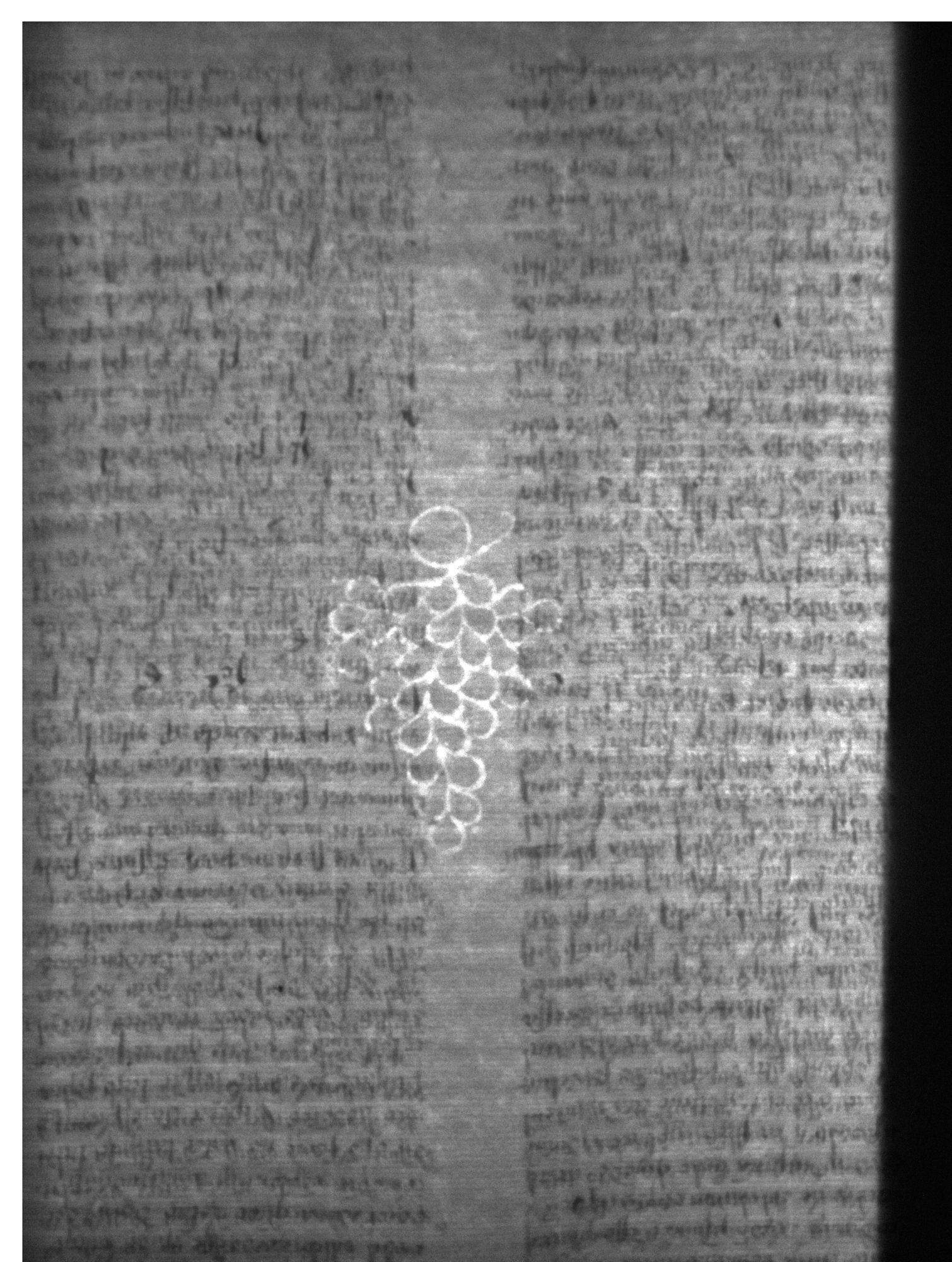Watermark
