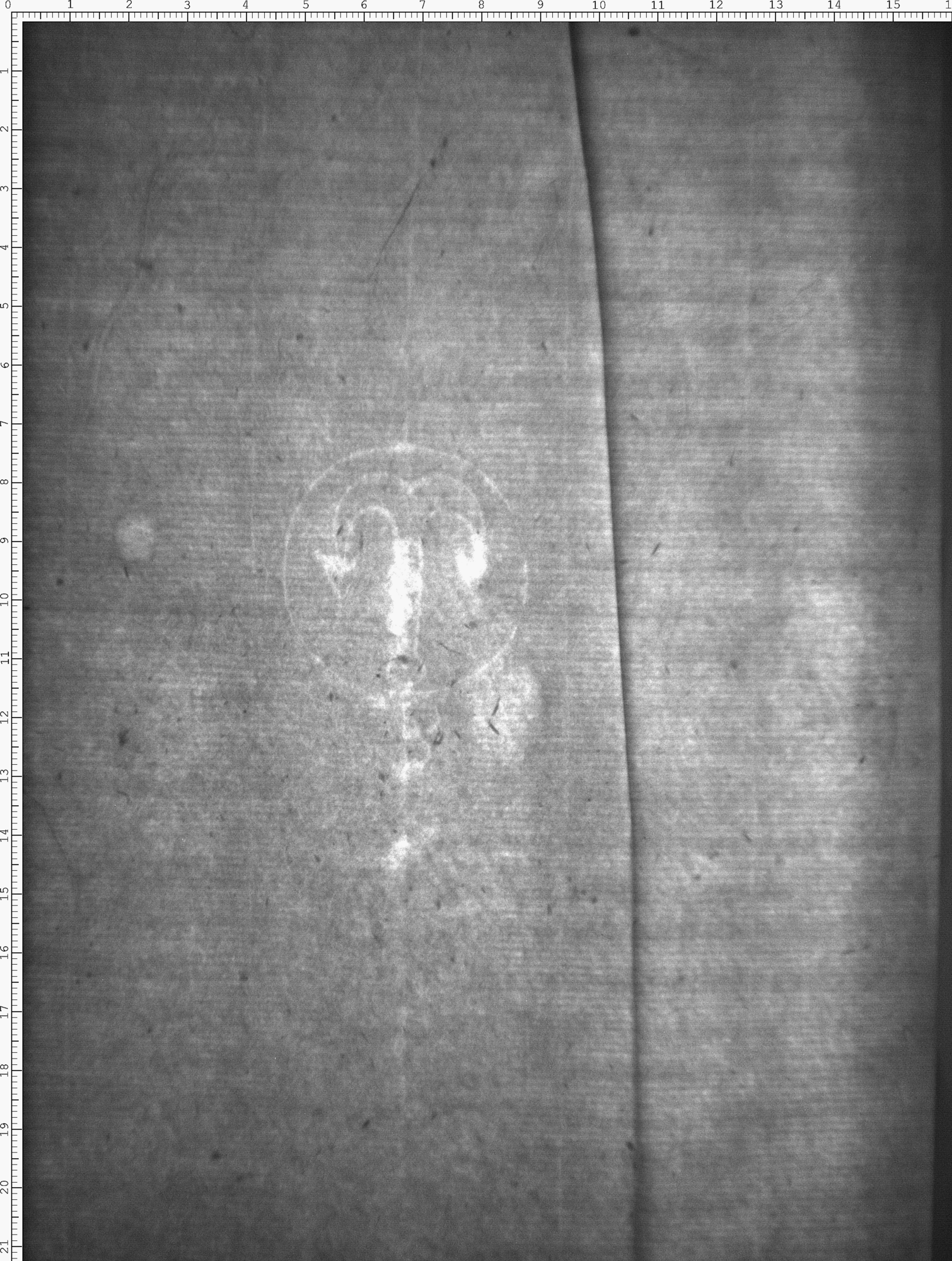 Watermark