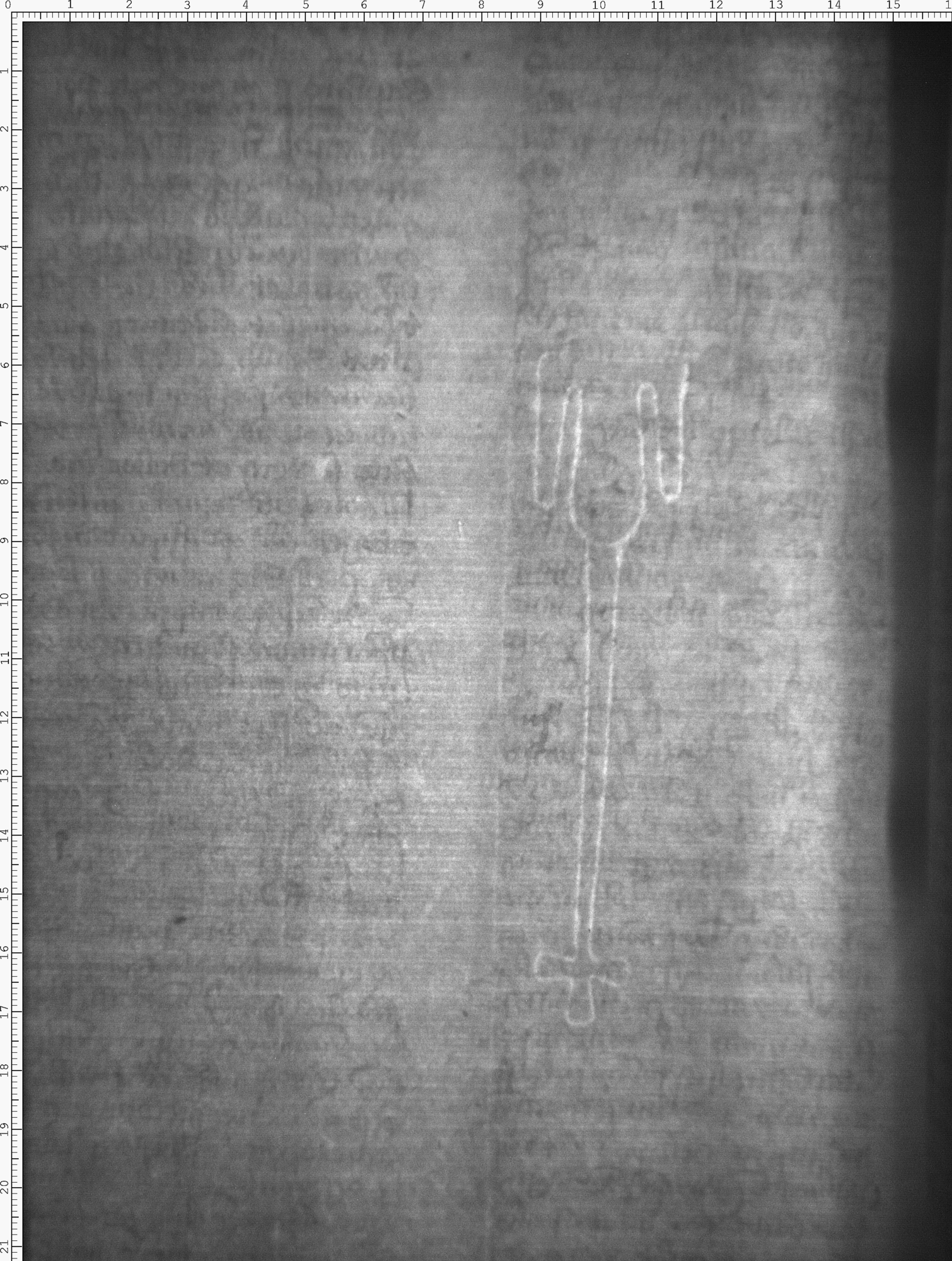 Watermark