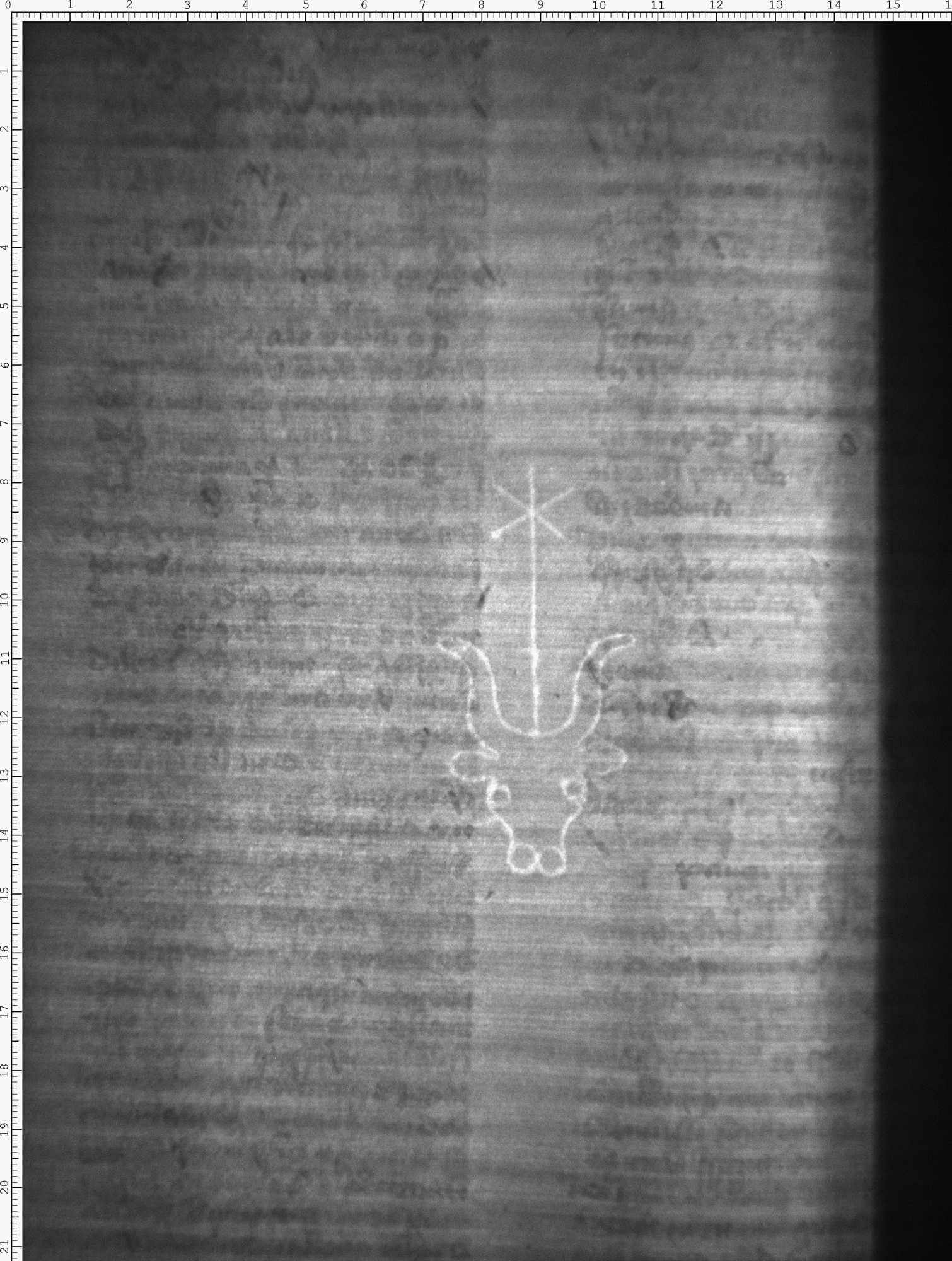 Watermark