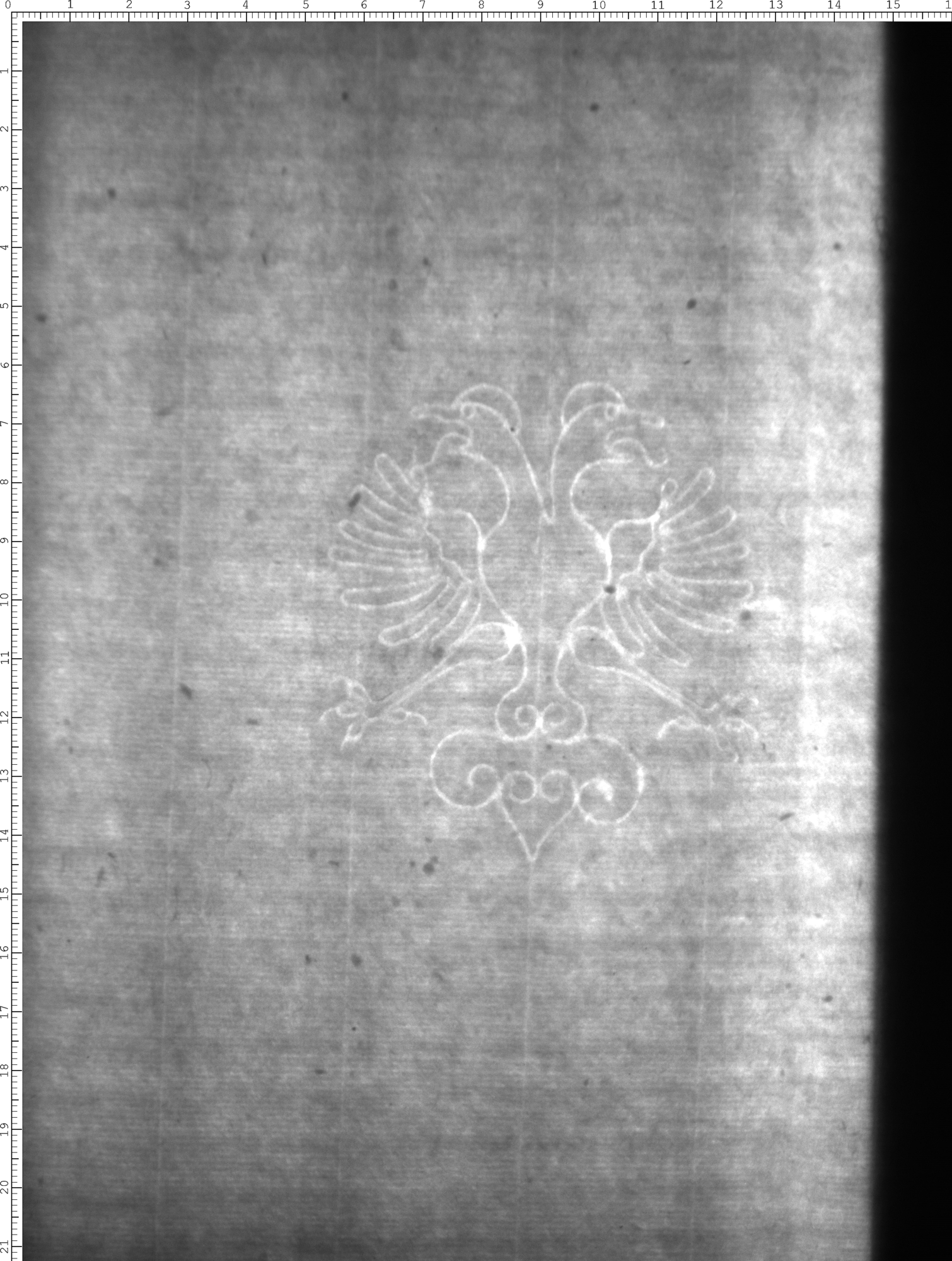 Watermark