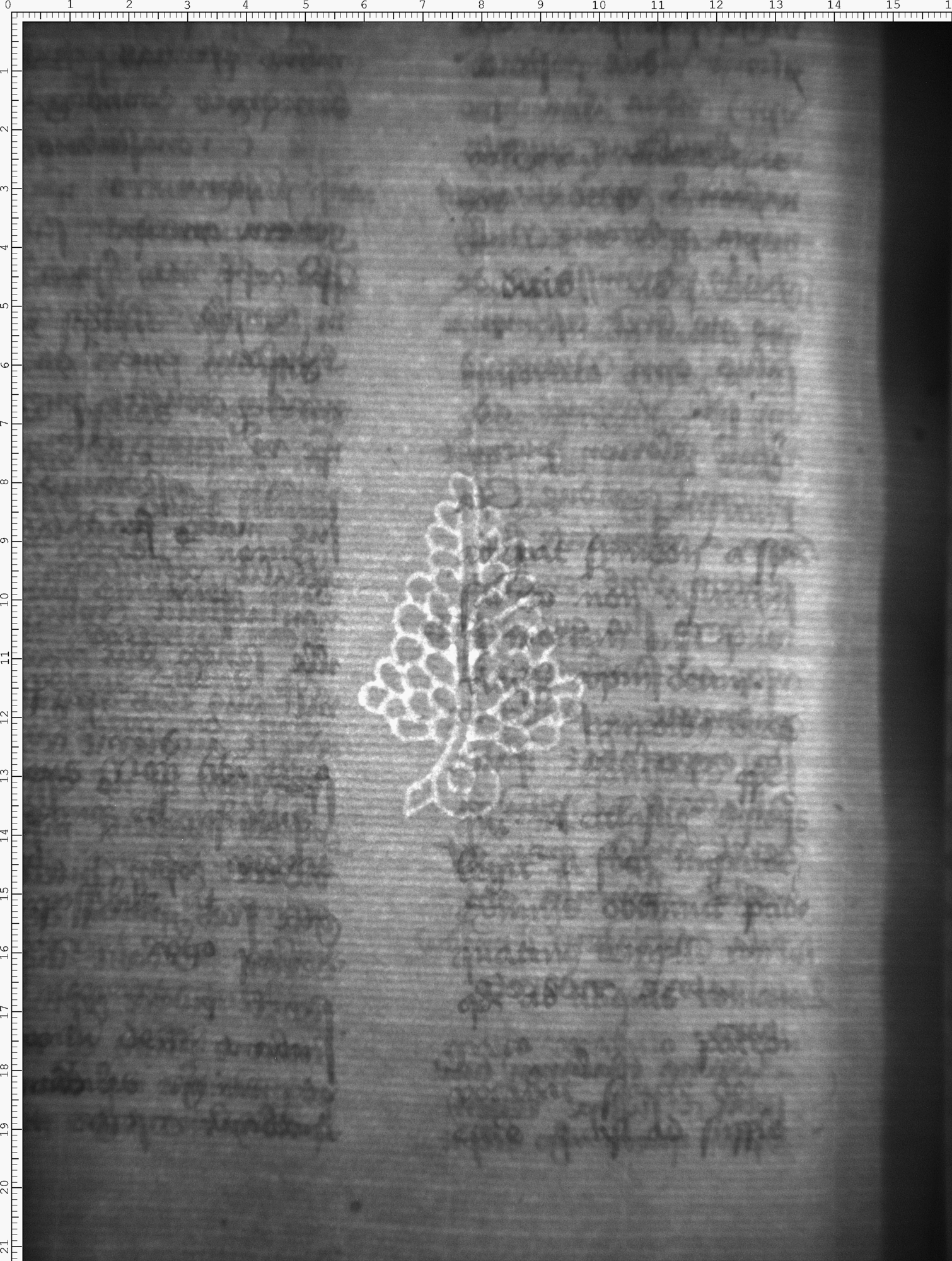 Watermark