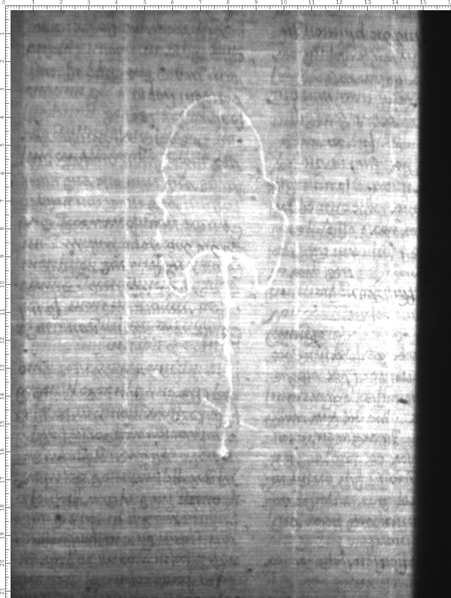 Watermark