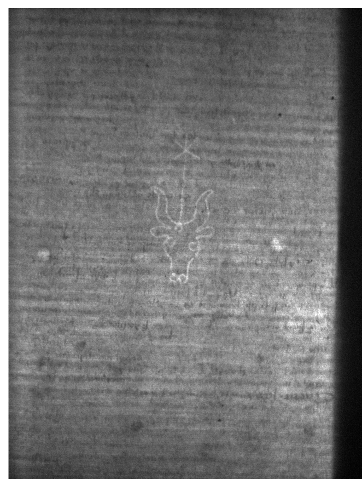 Watermark