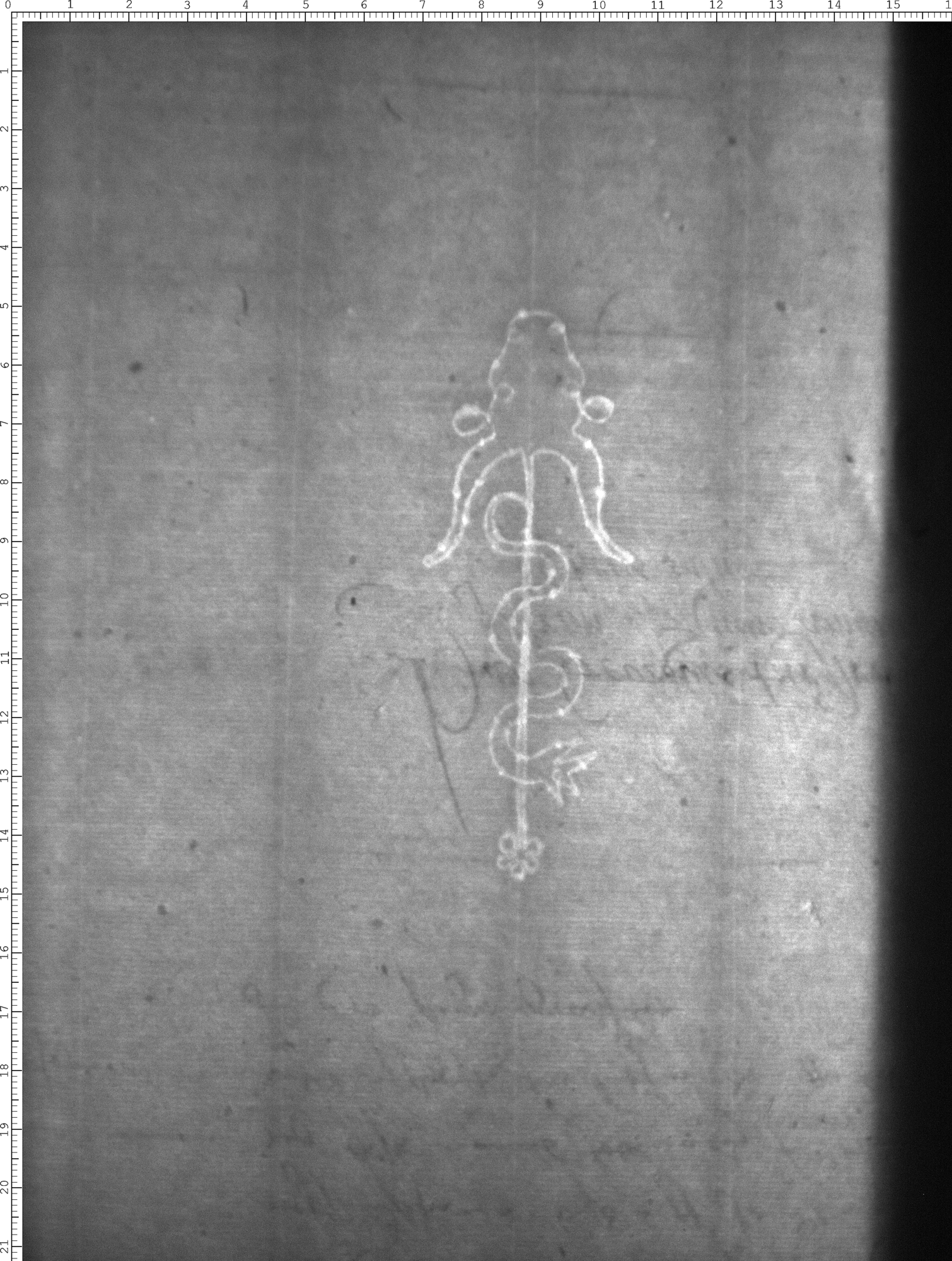 Watermark