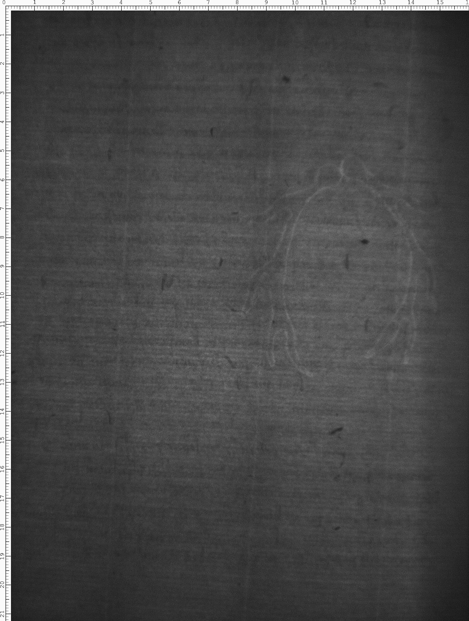 Watermark