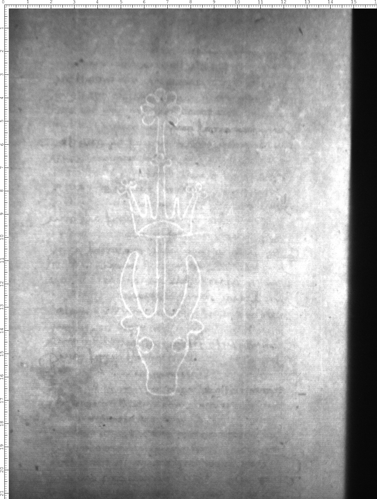 Watermark
