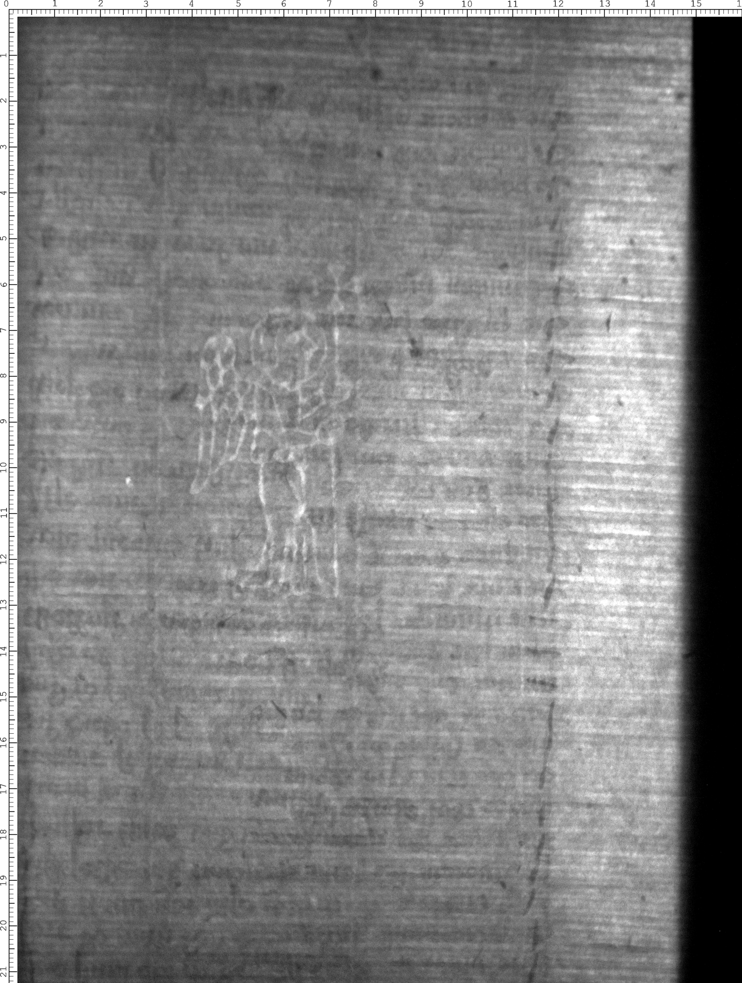 Watermark