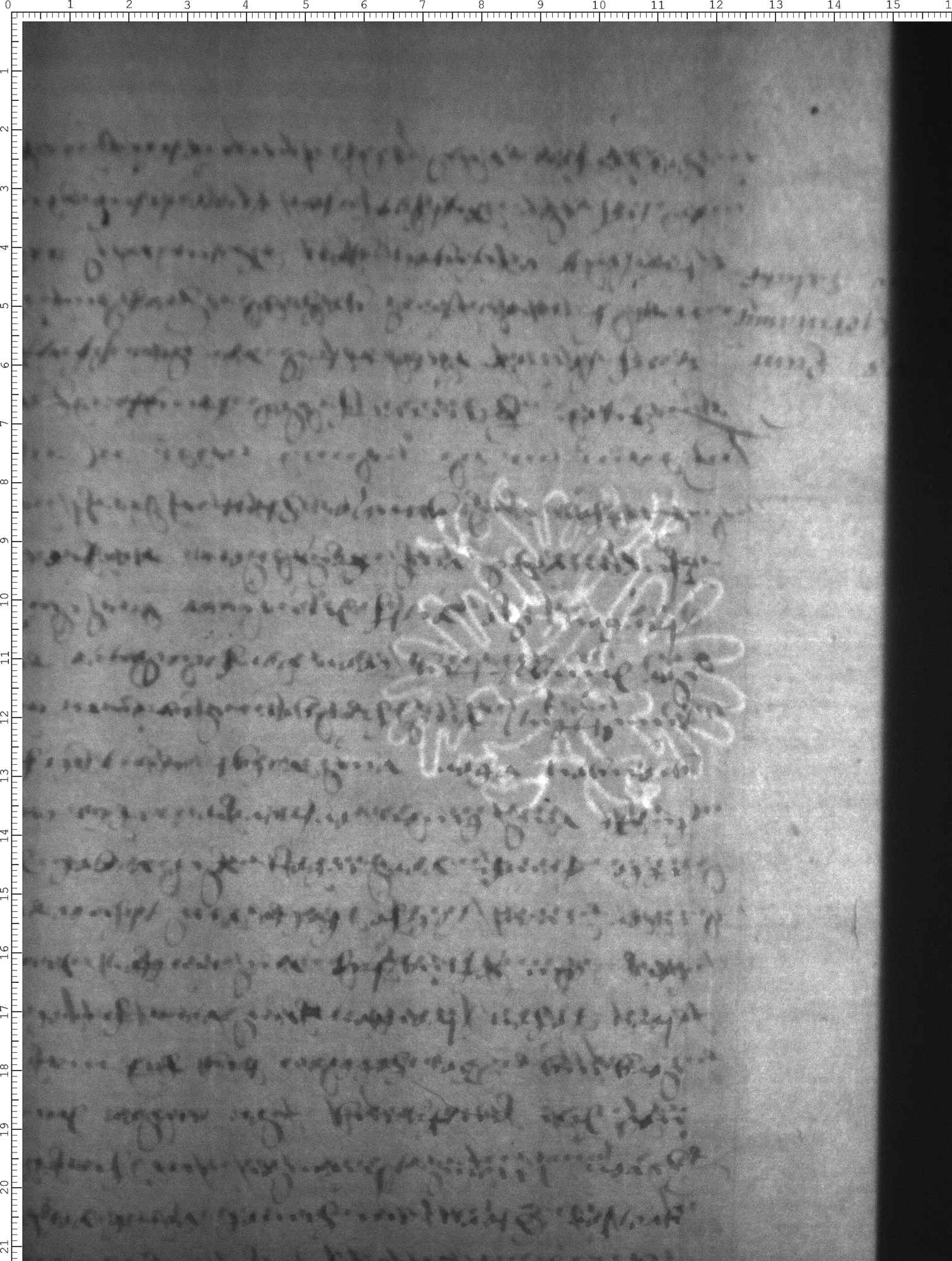 Watermark