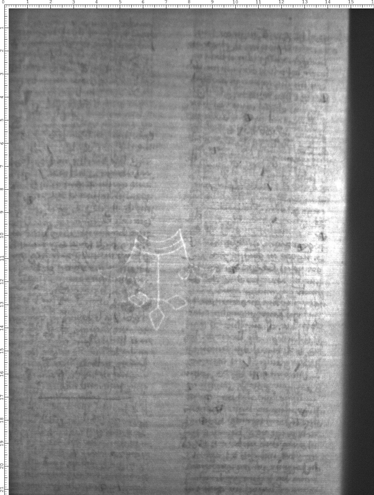 Watermark