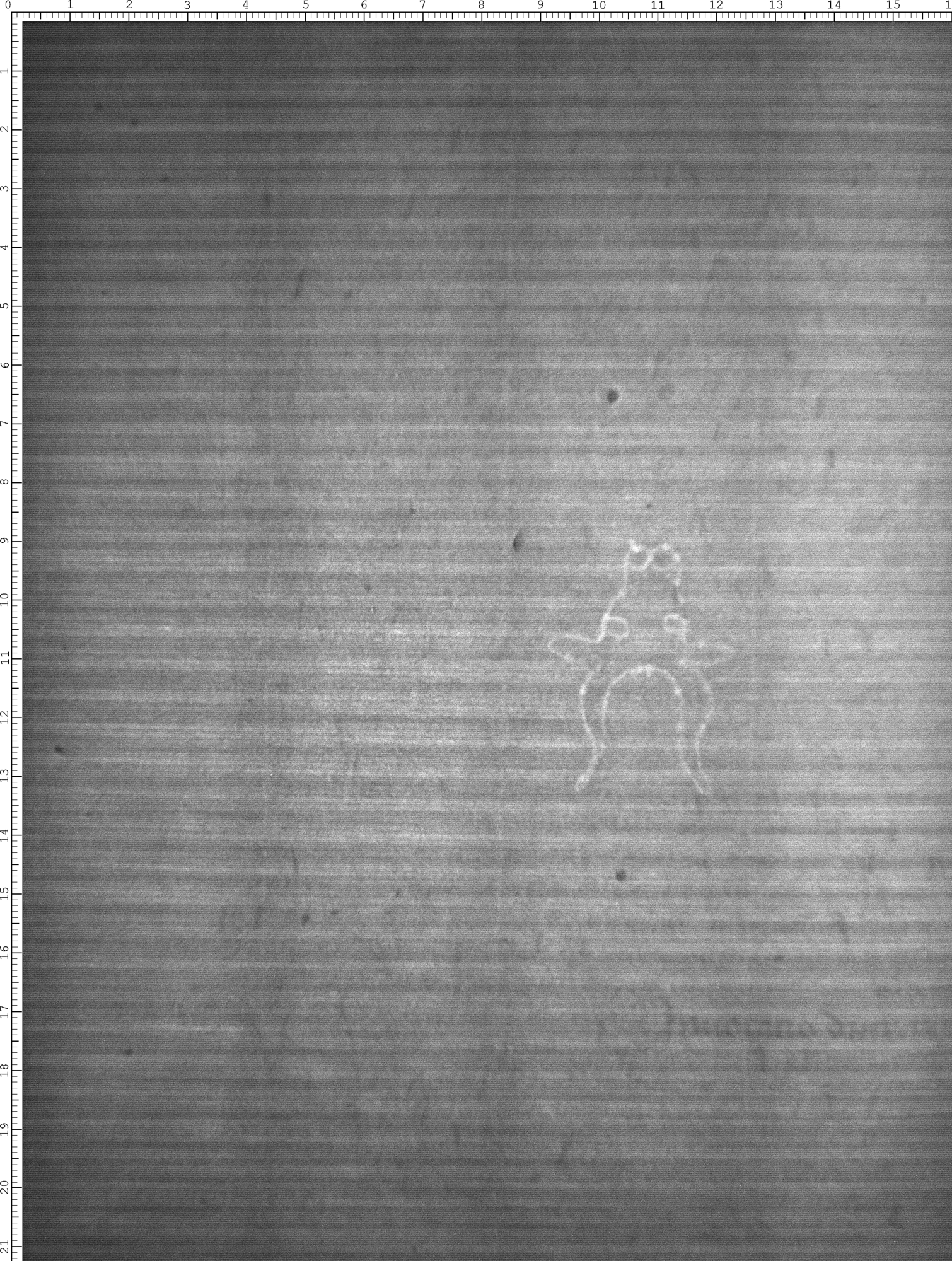 Watermark