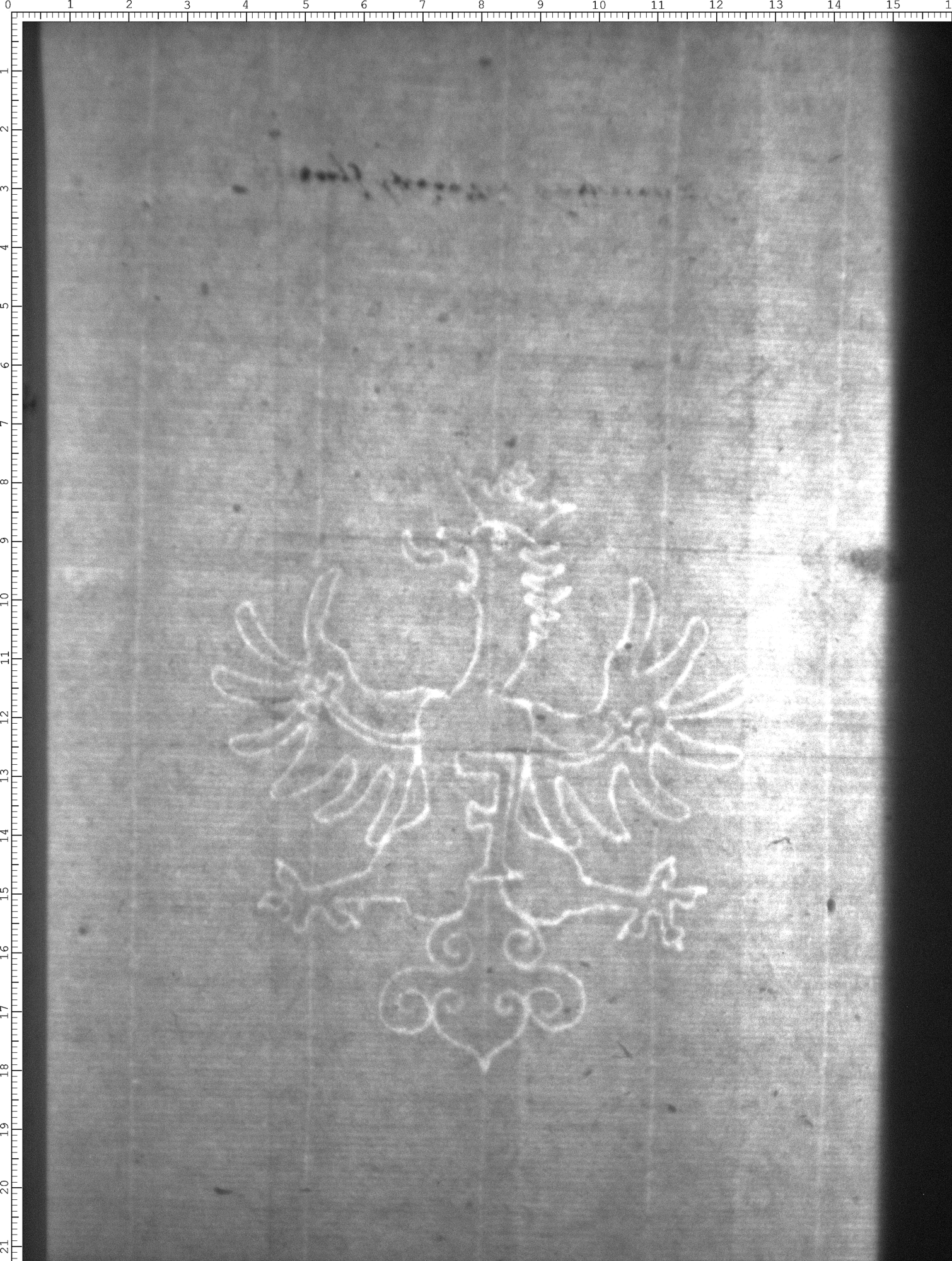 Watermark