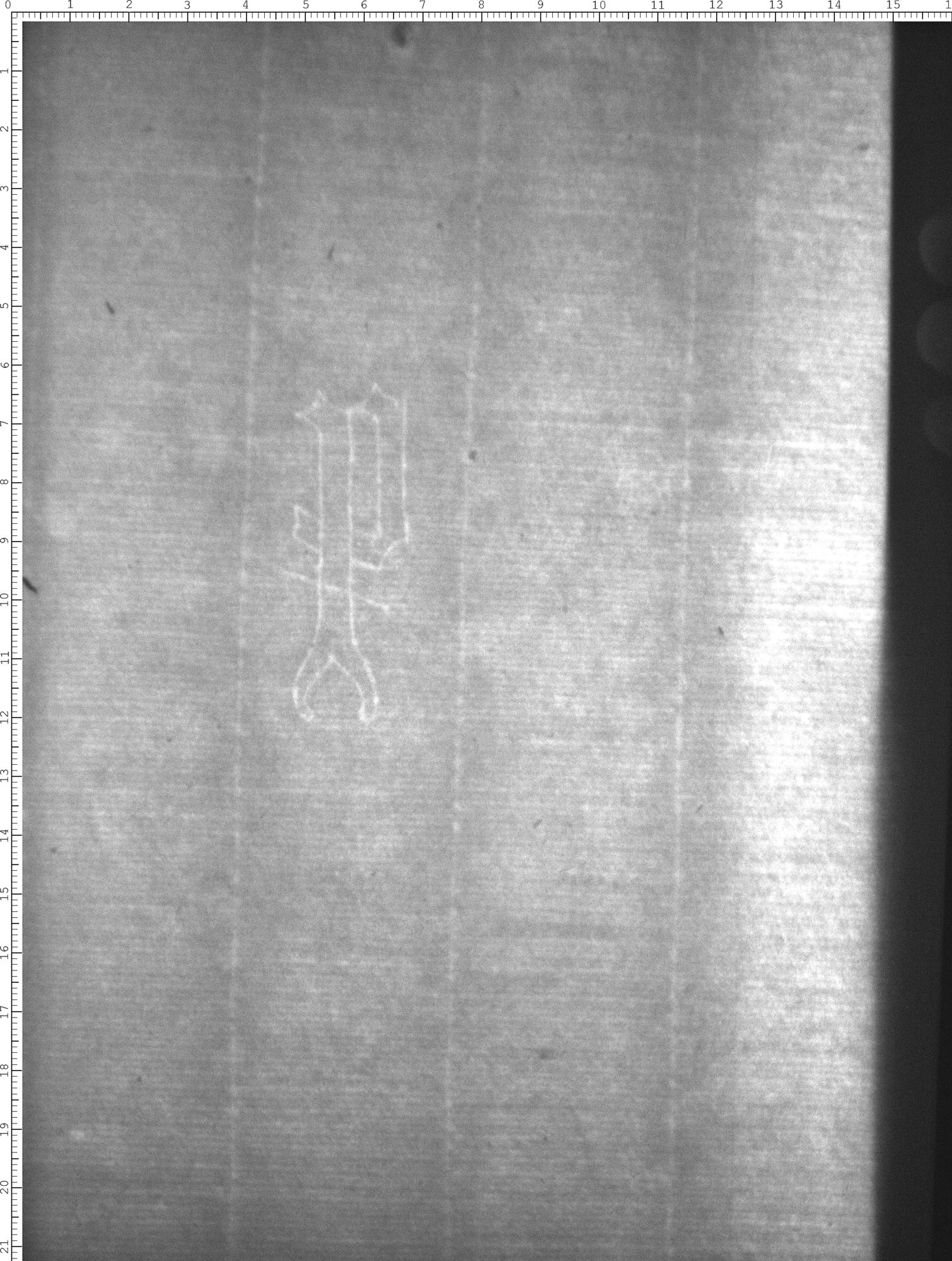 Watermark