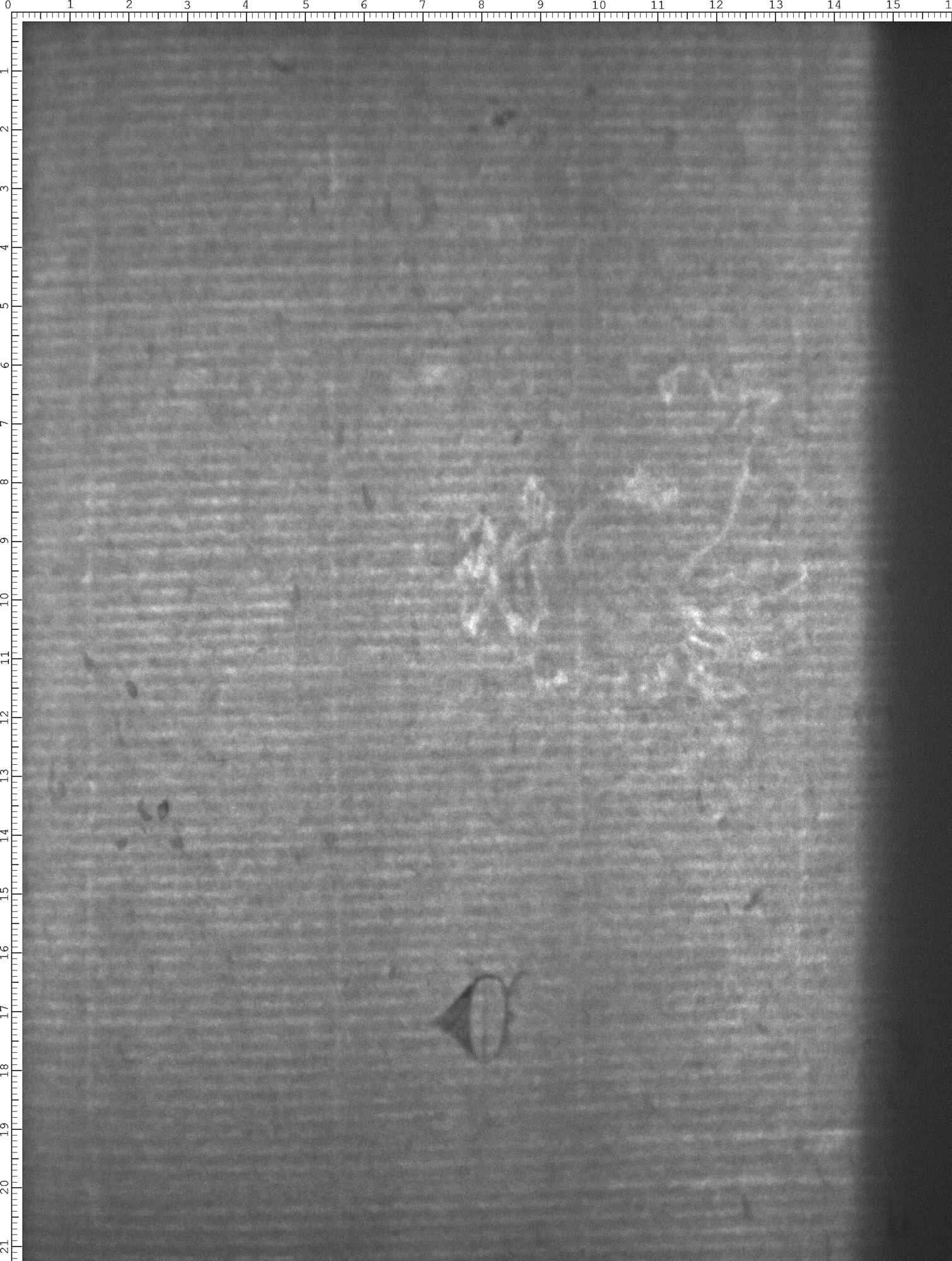 Watermark