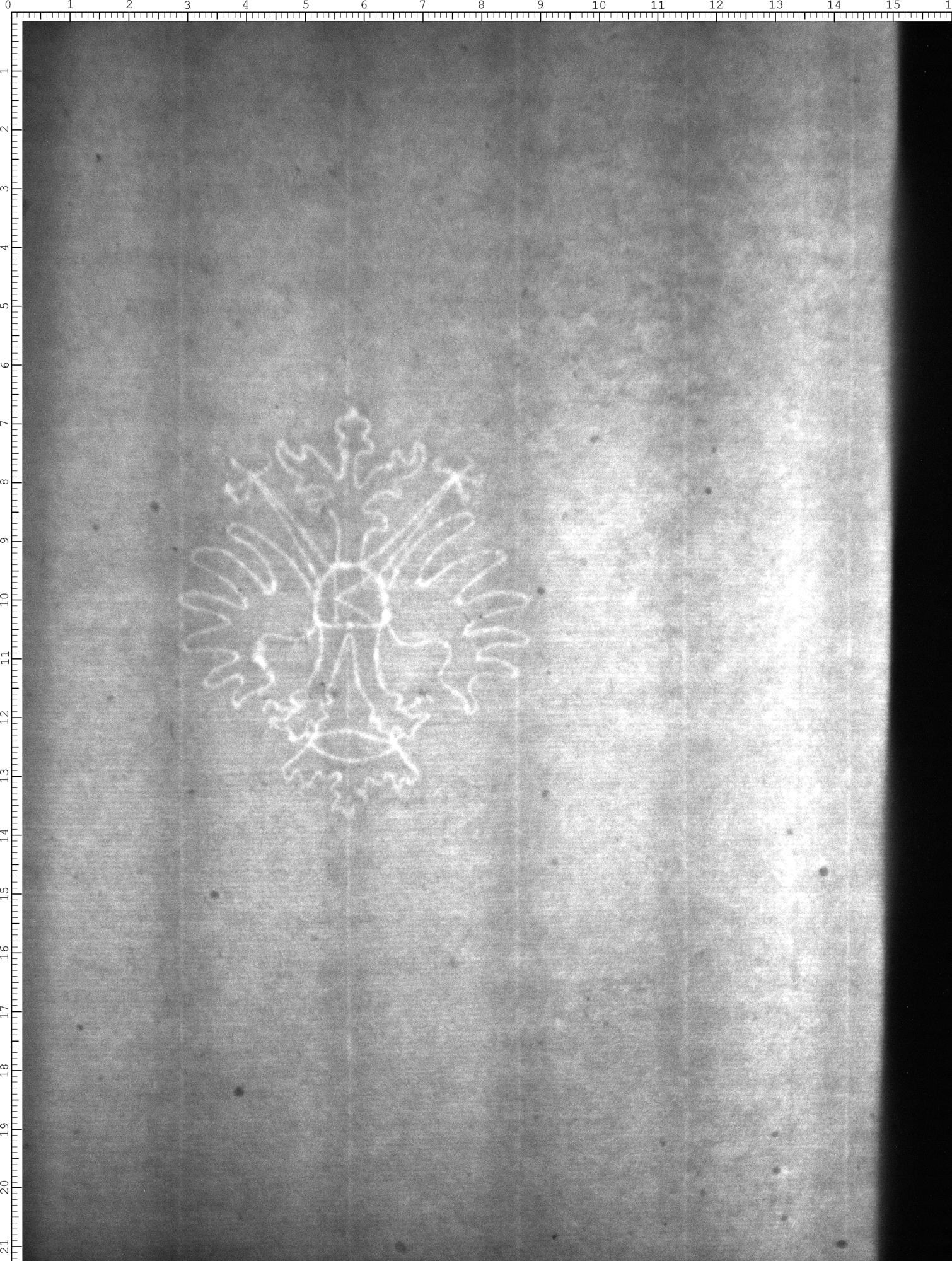 Watermark