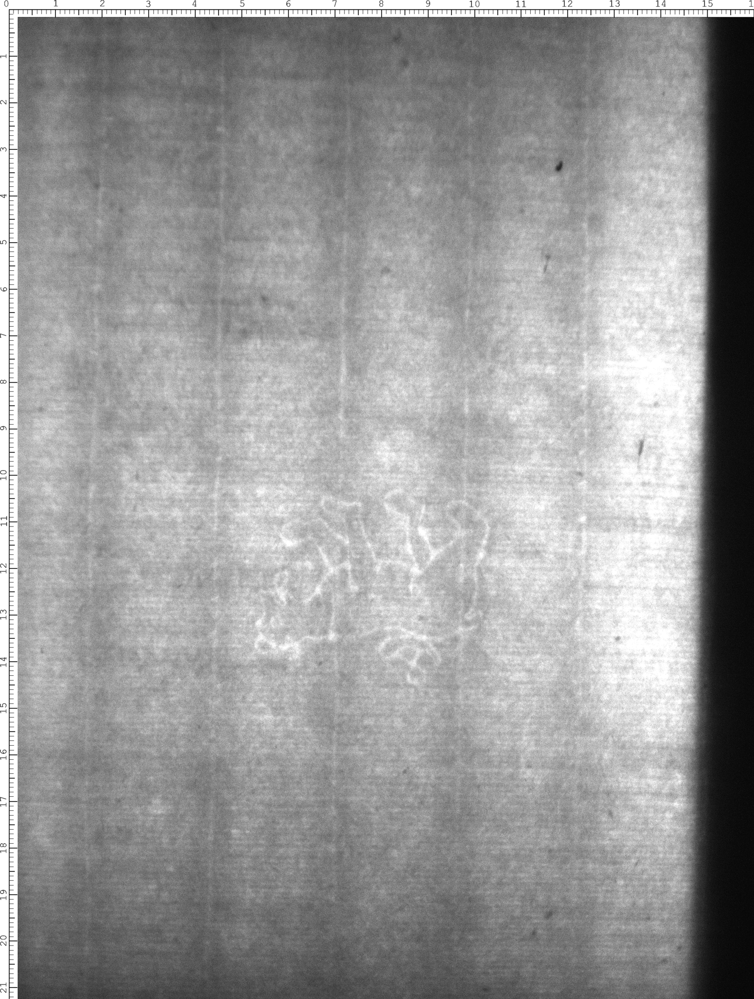 Watermark