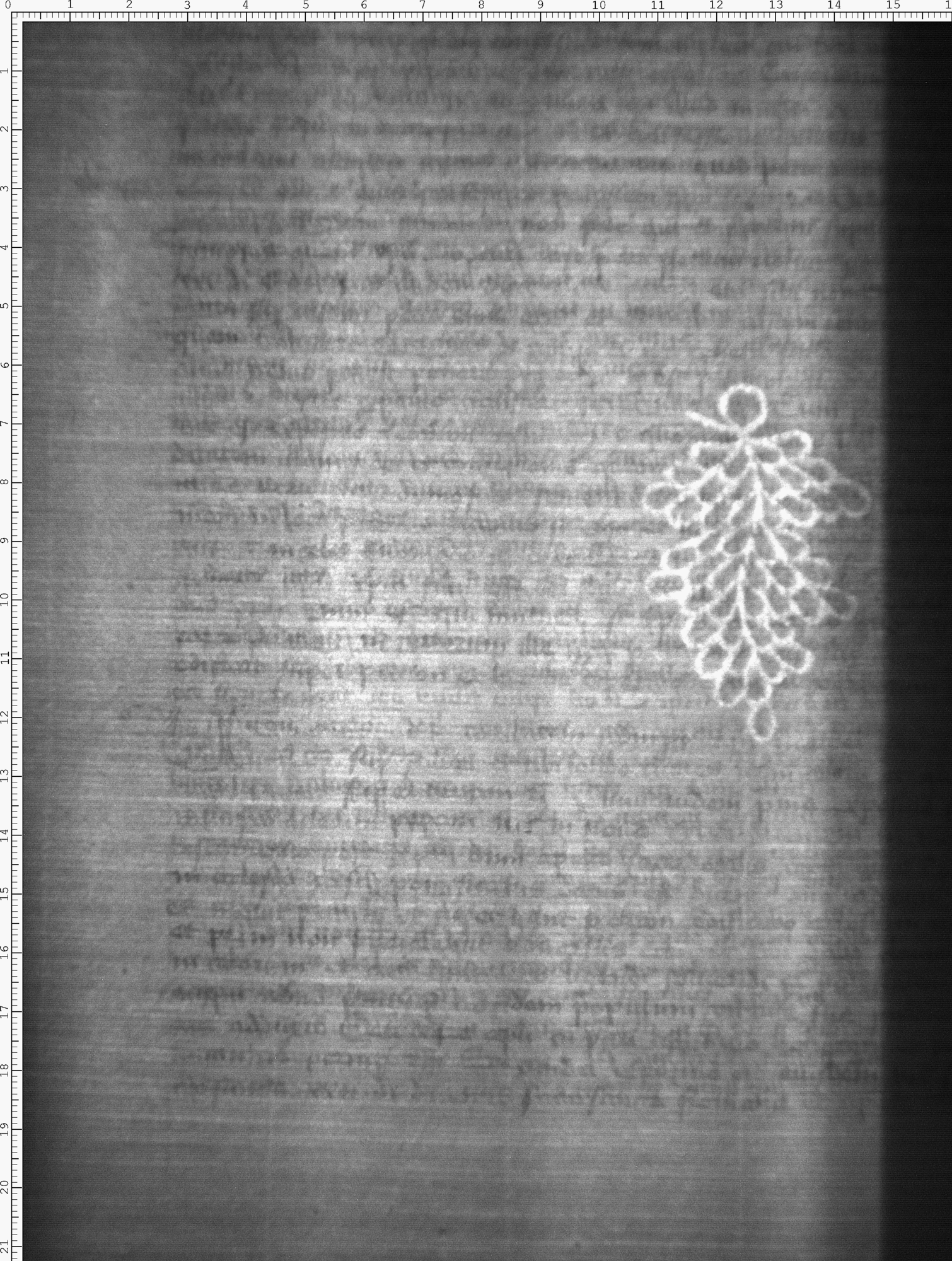 Watermark