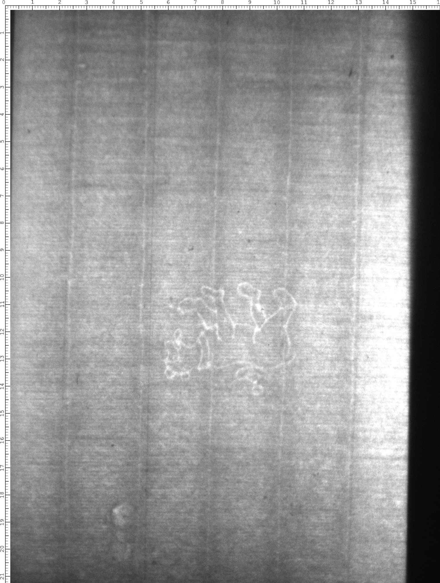 Watermark