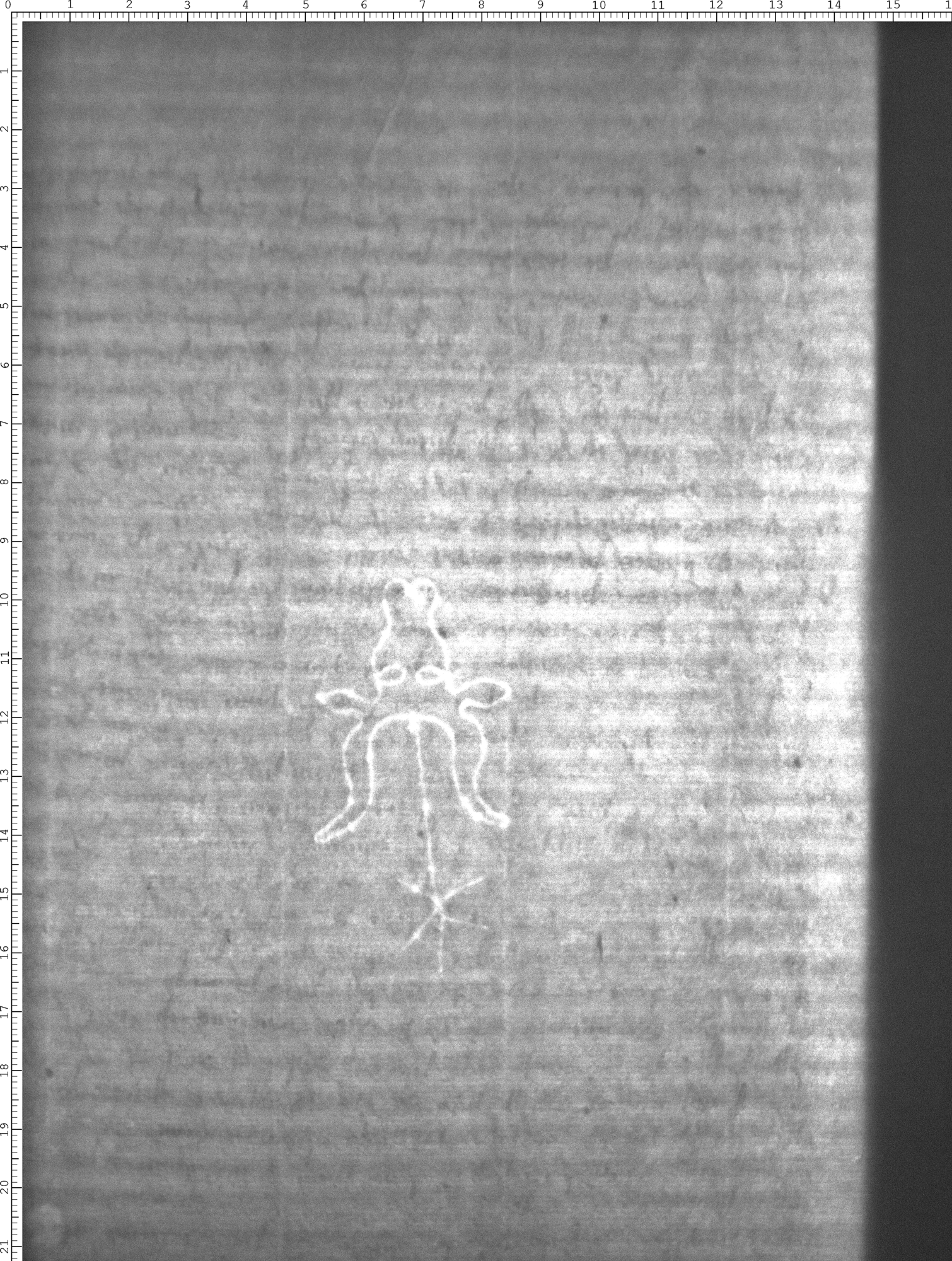 Watermark