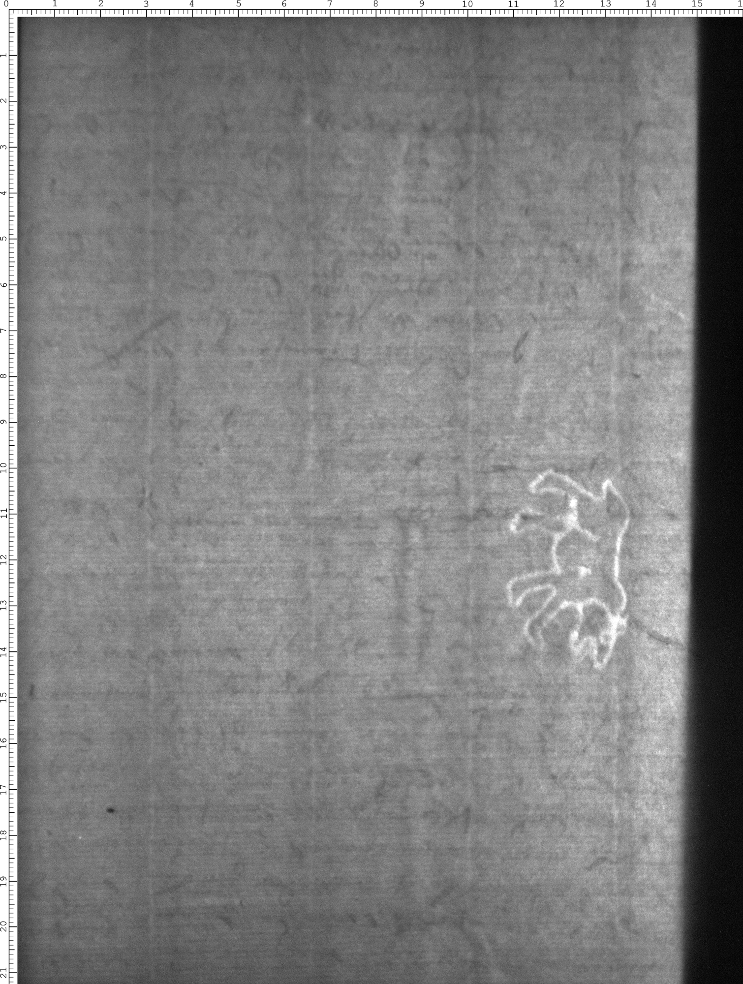 Watermark