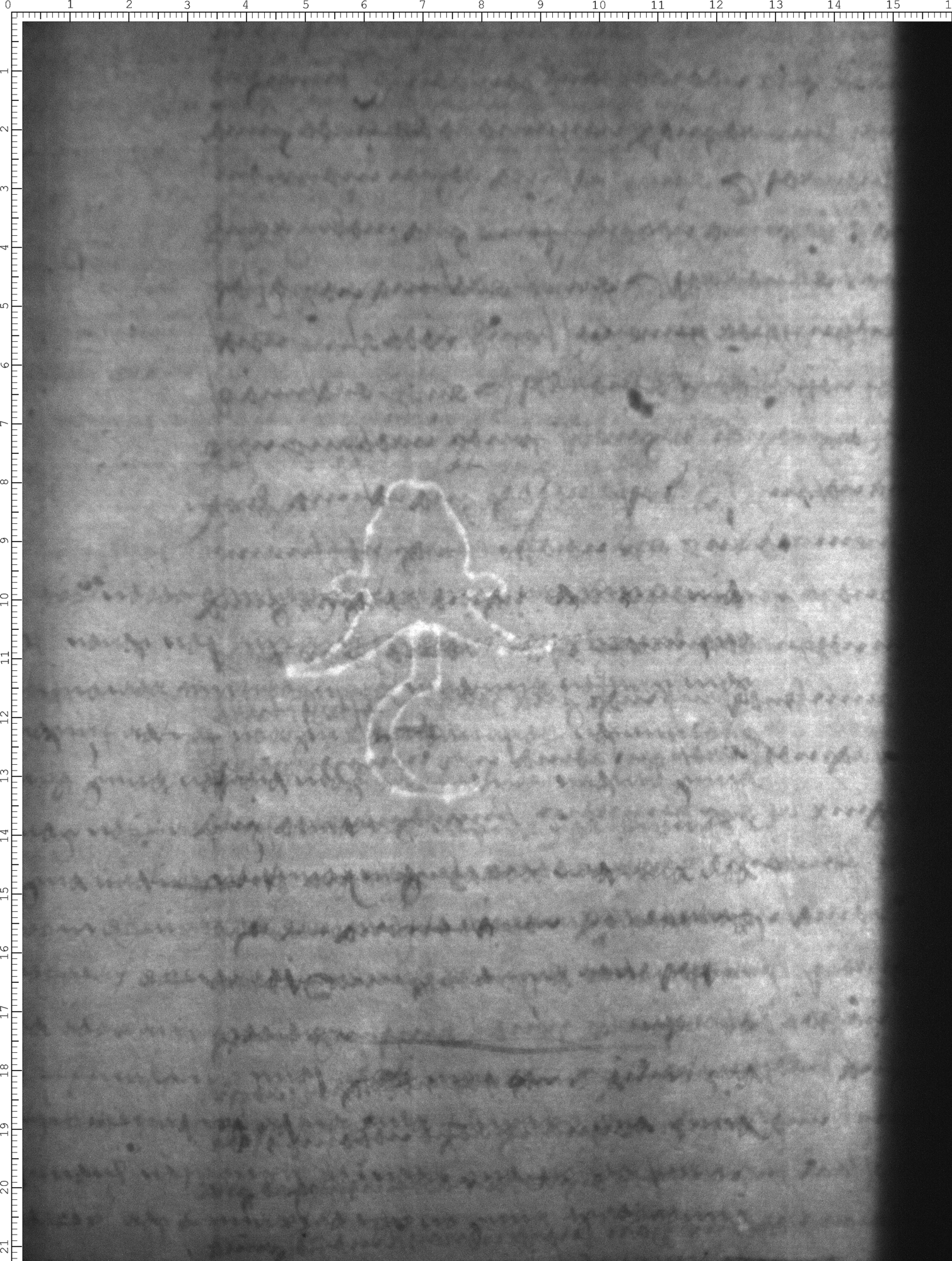 Watermark