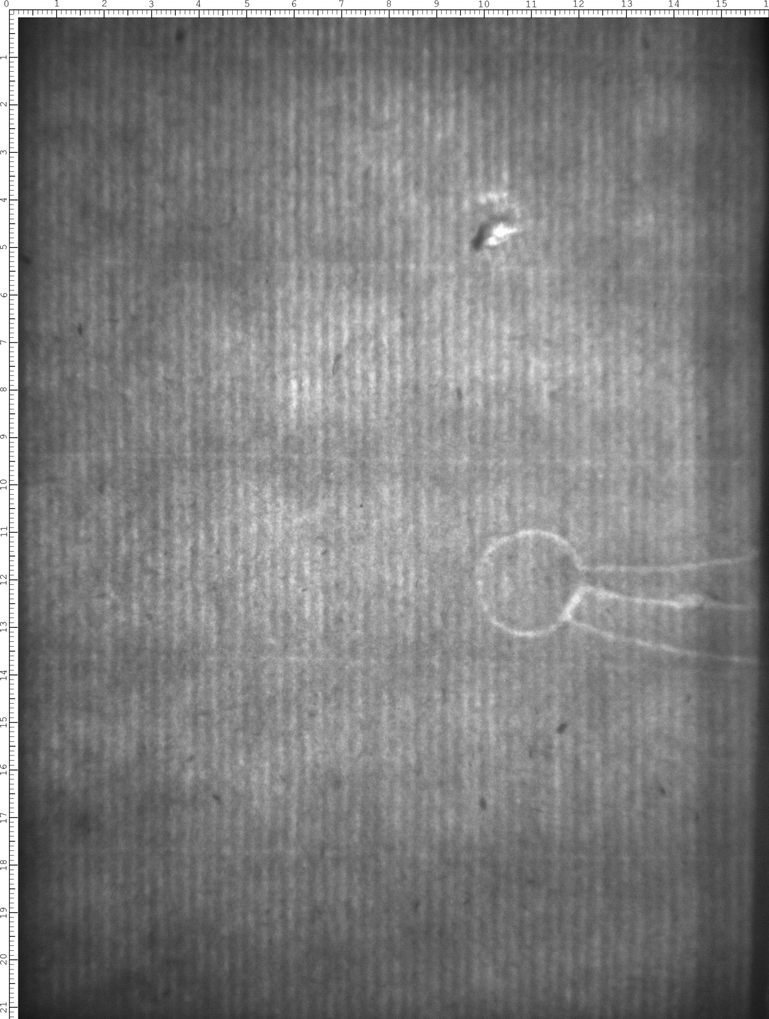 Watermark