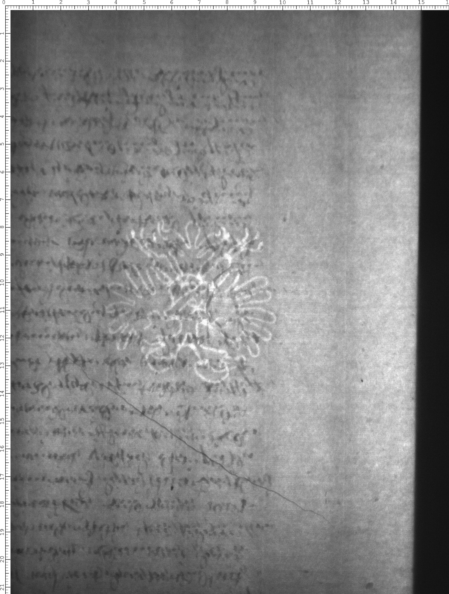 Watermark