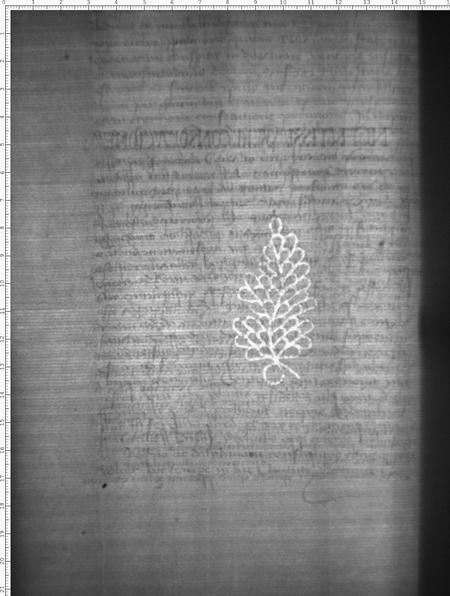 Watermark