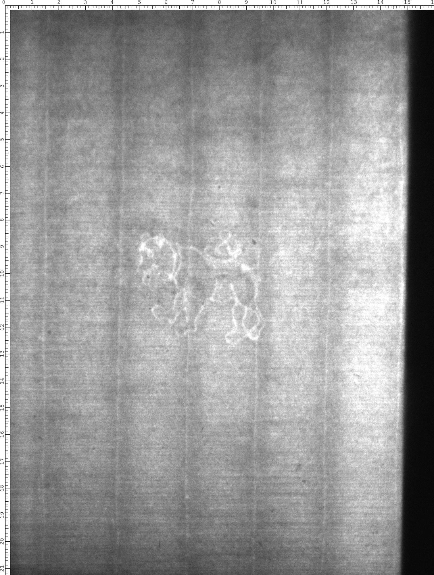 Watermark