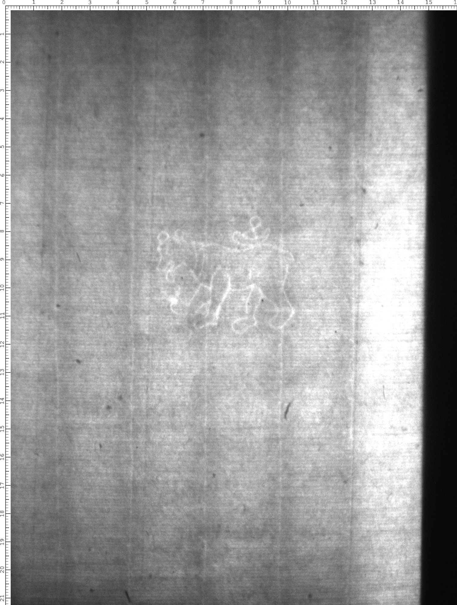 Watermark