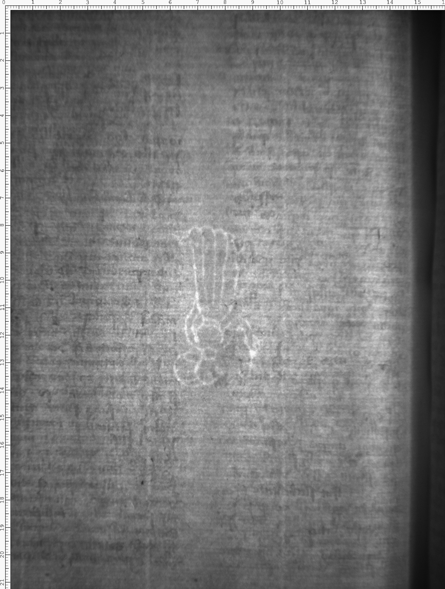 Watermark