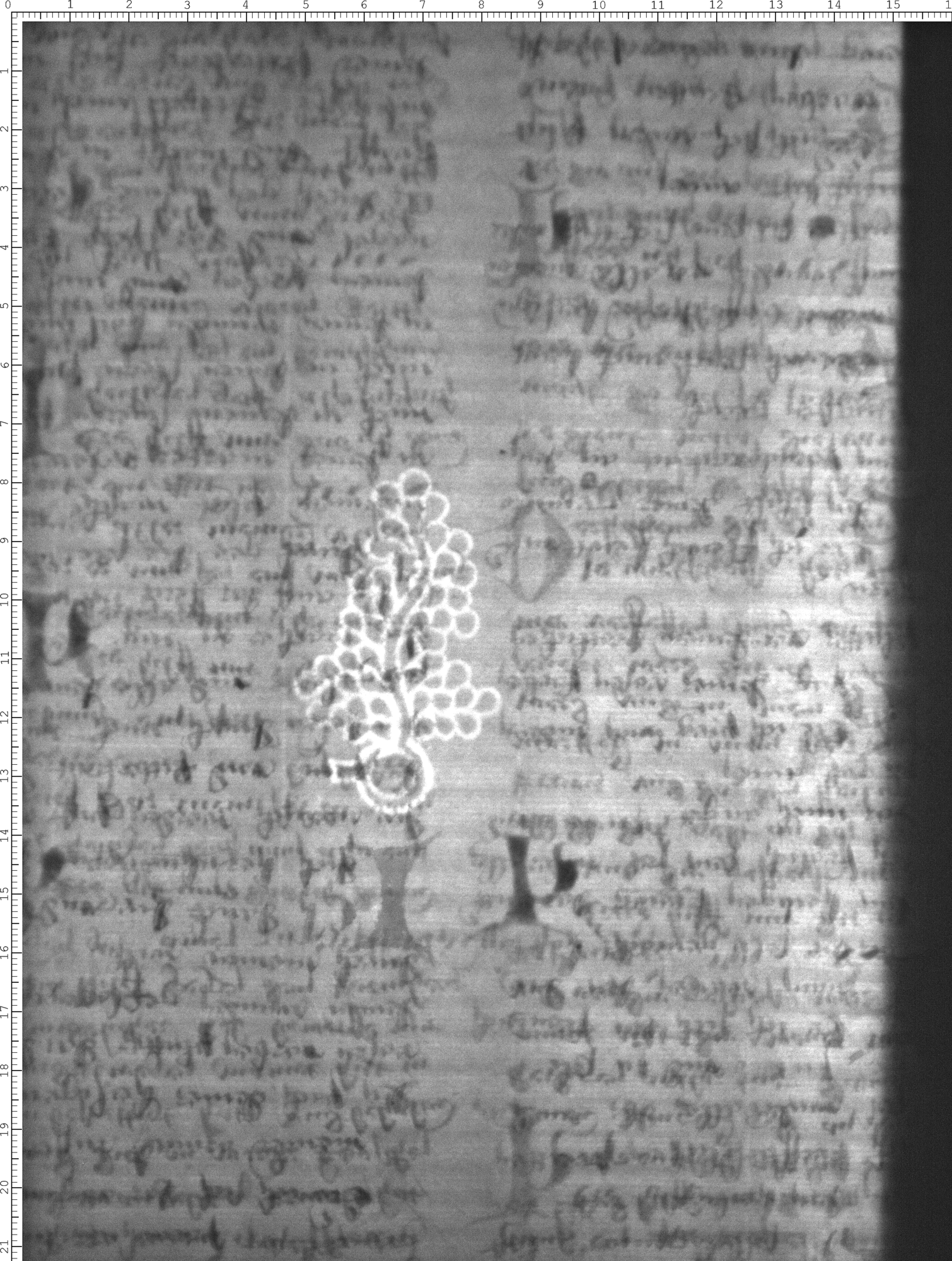 Watermark