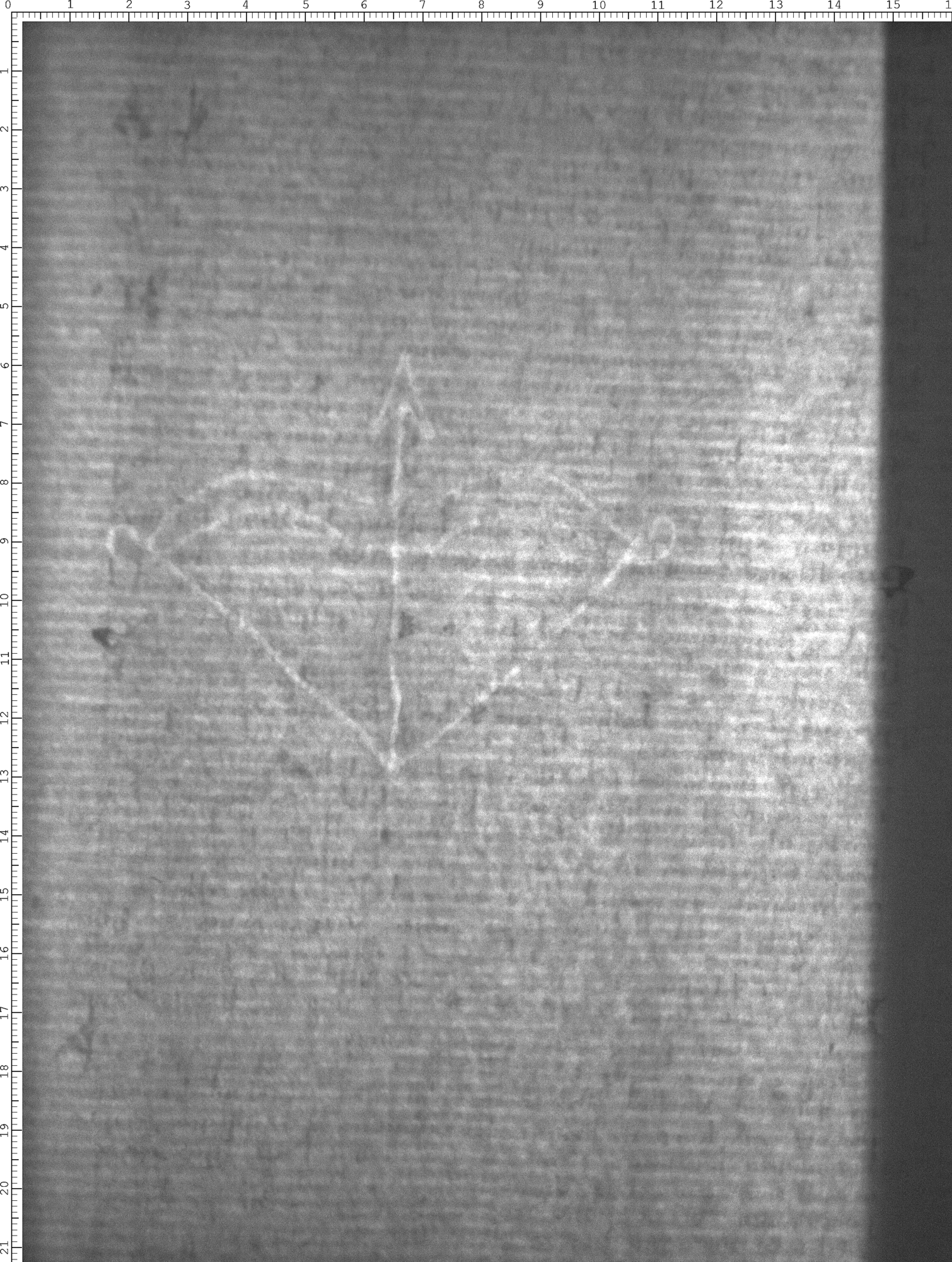 Watermark