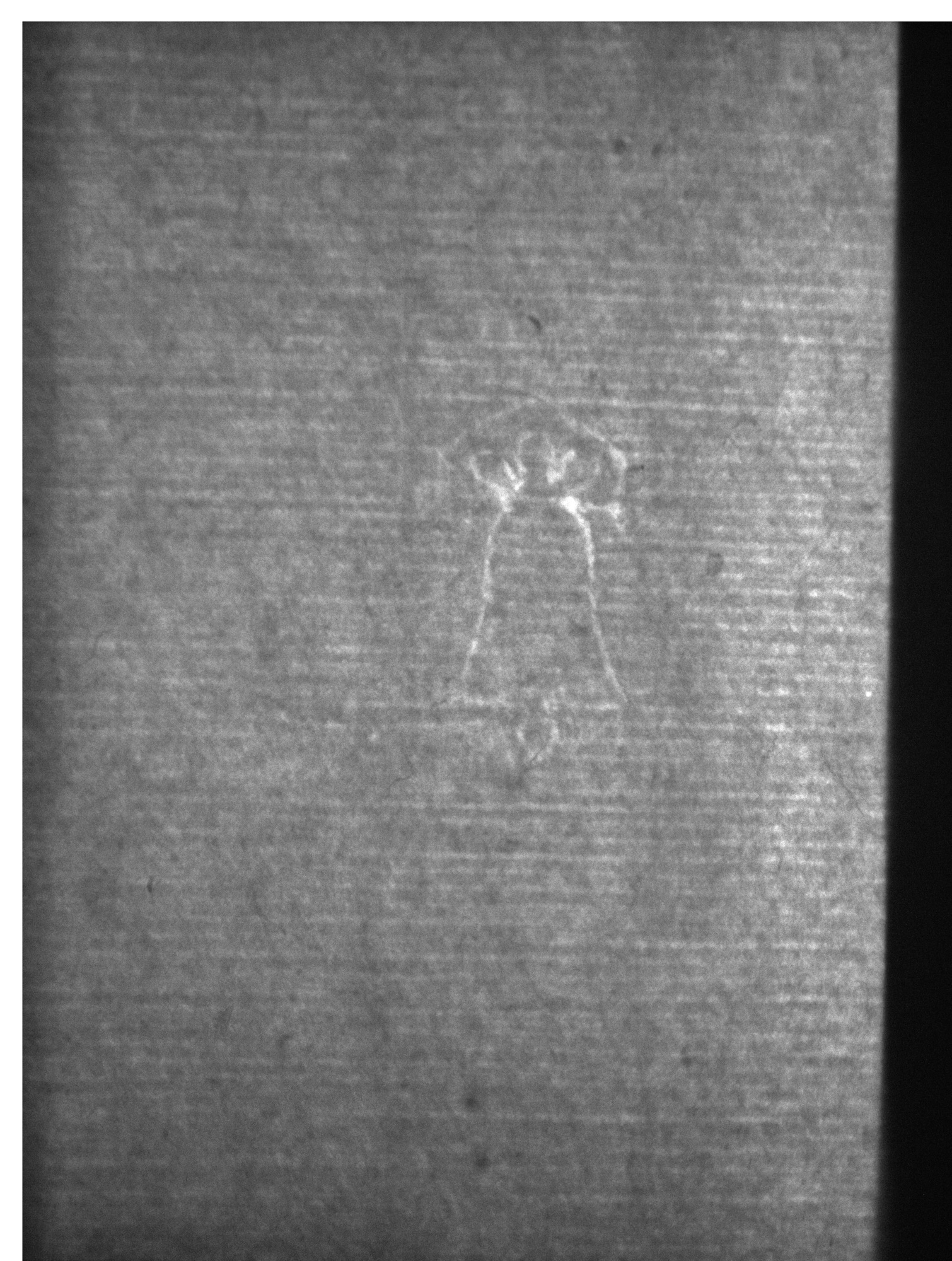 Watermark