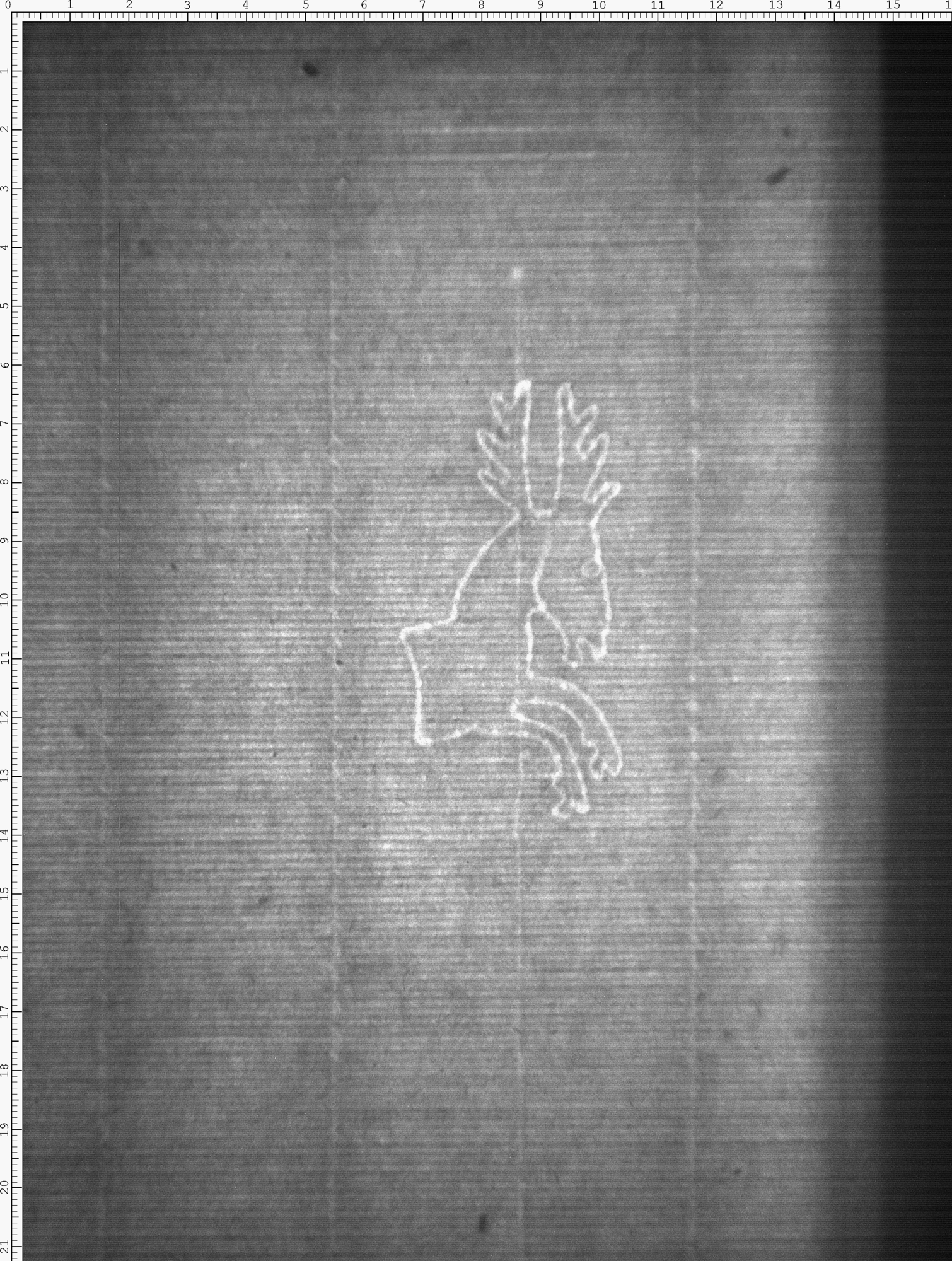 Watermark