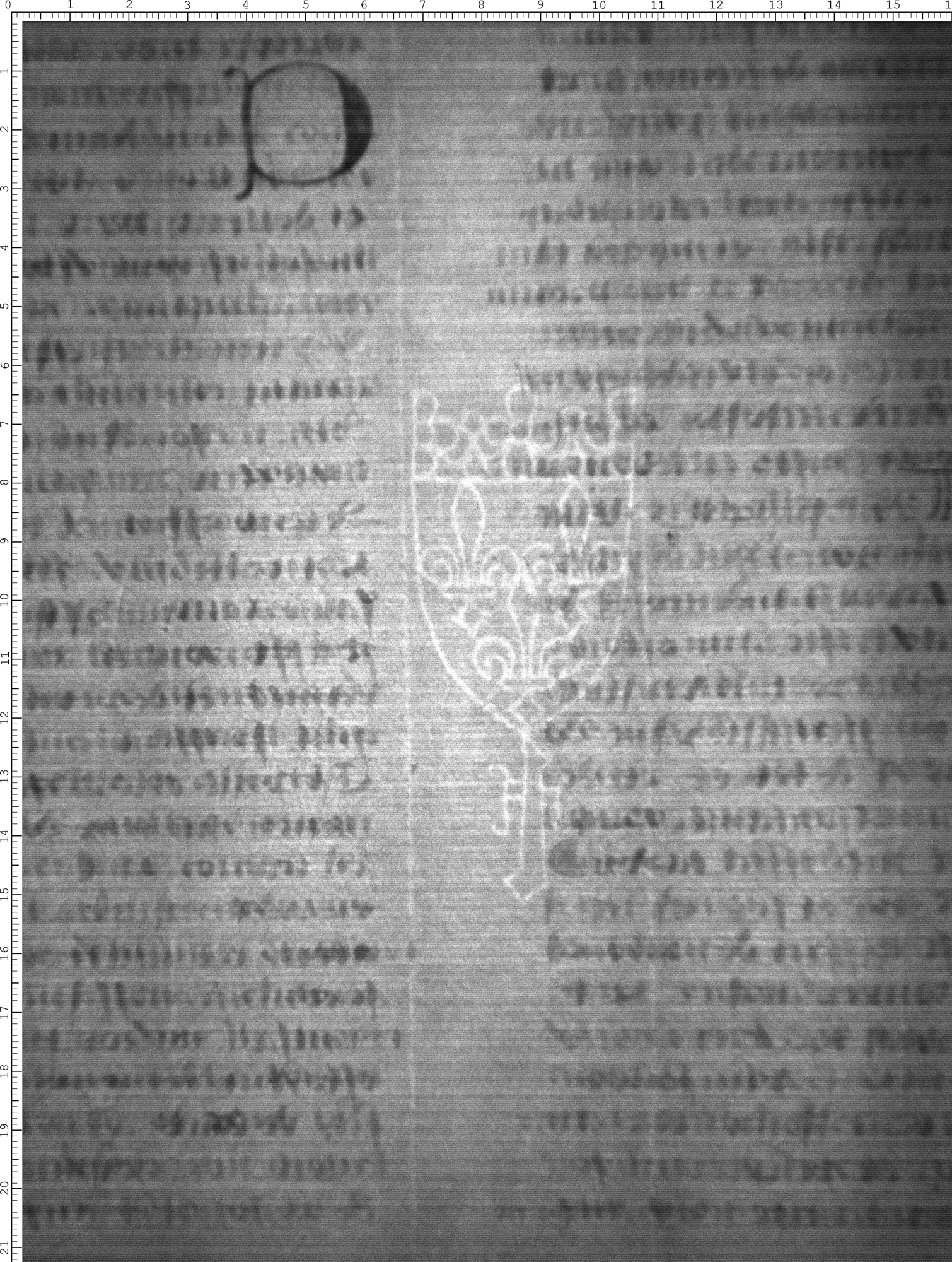 Watermark