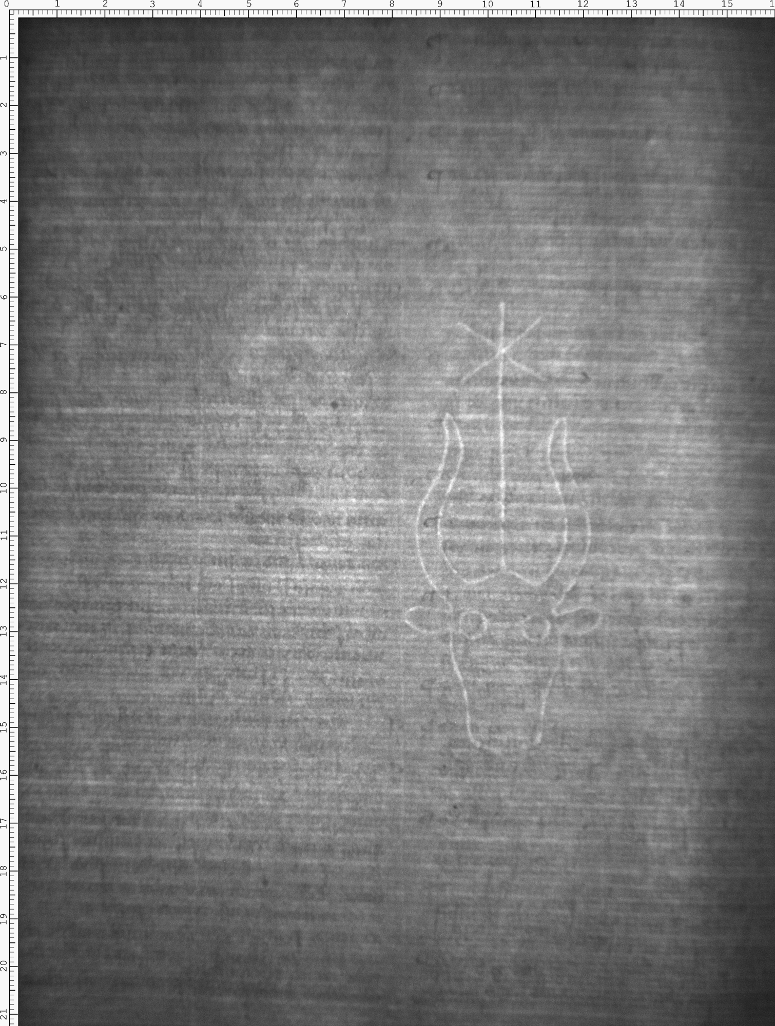 Watermark