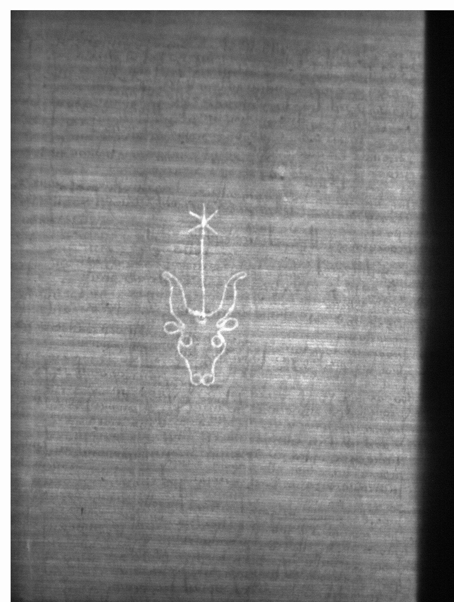 Watermark