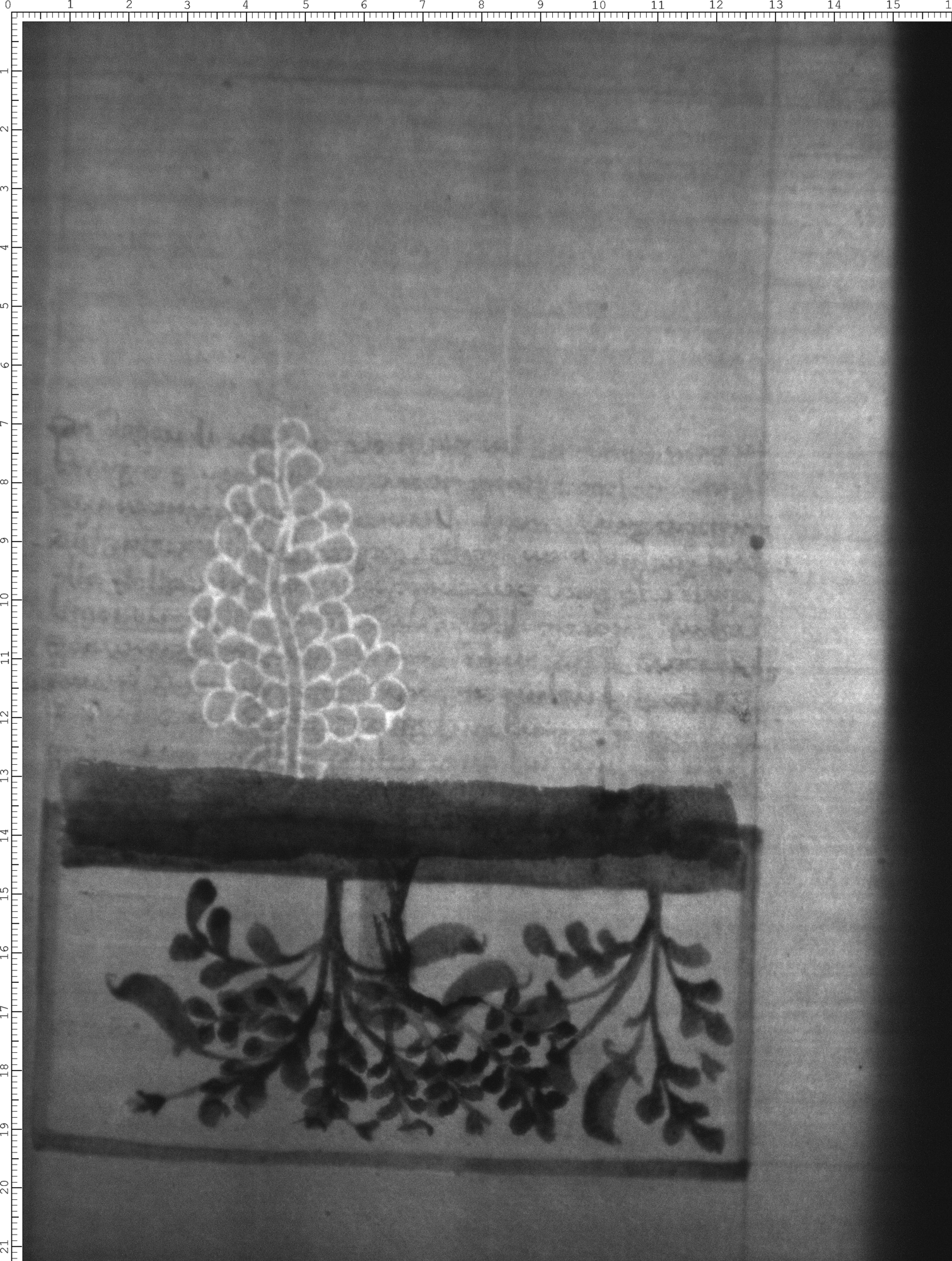 Watermark