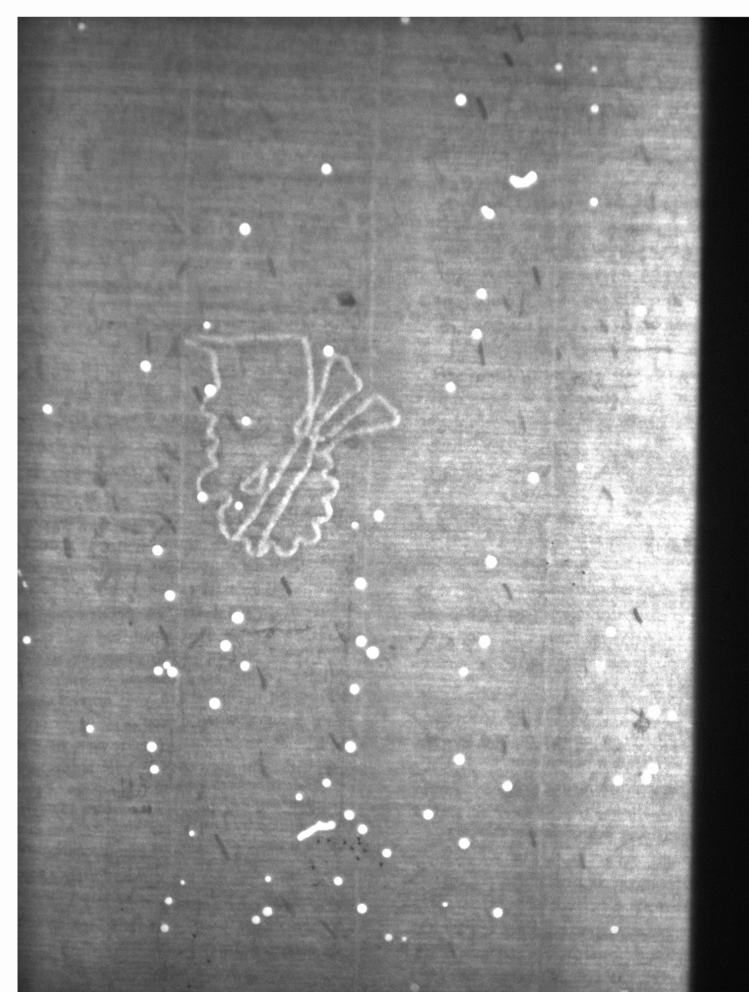 Watermark