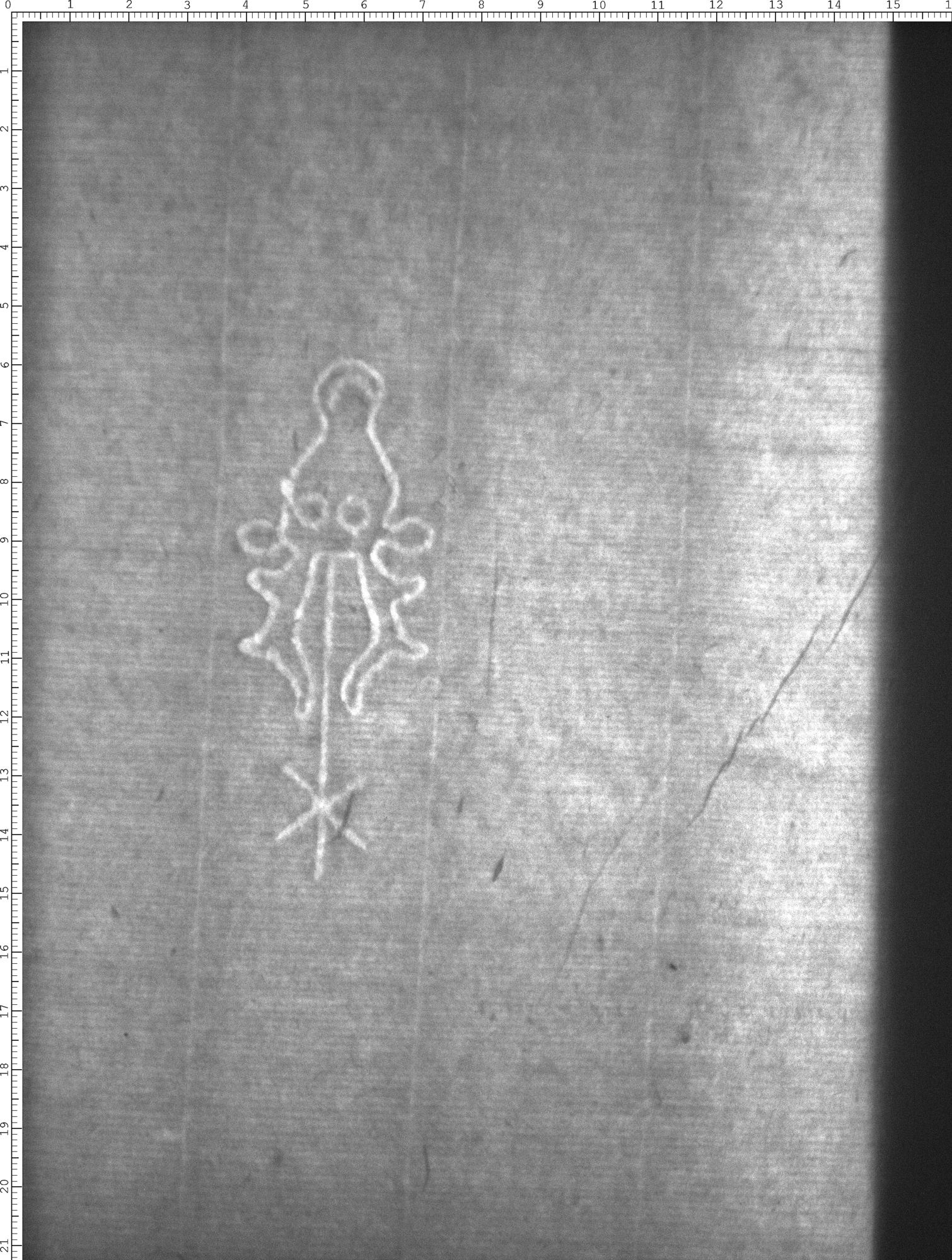 Watermark
