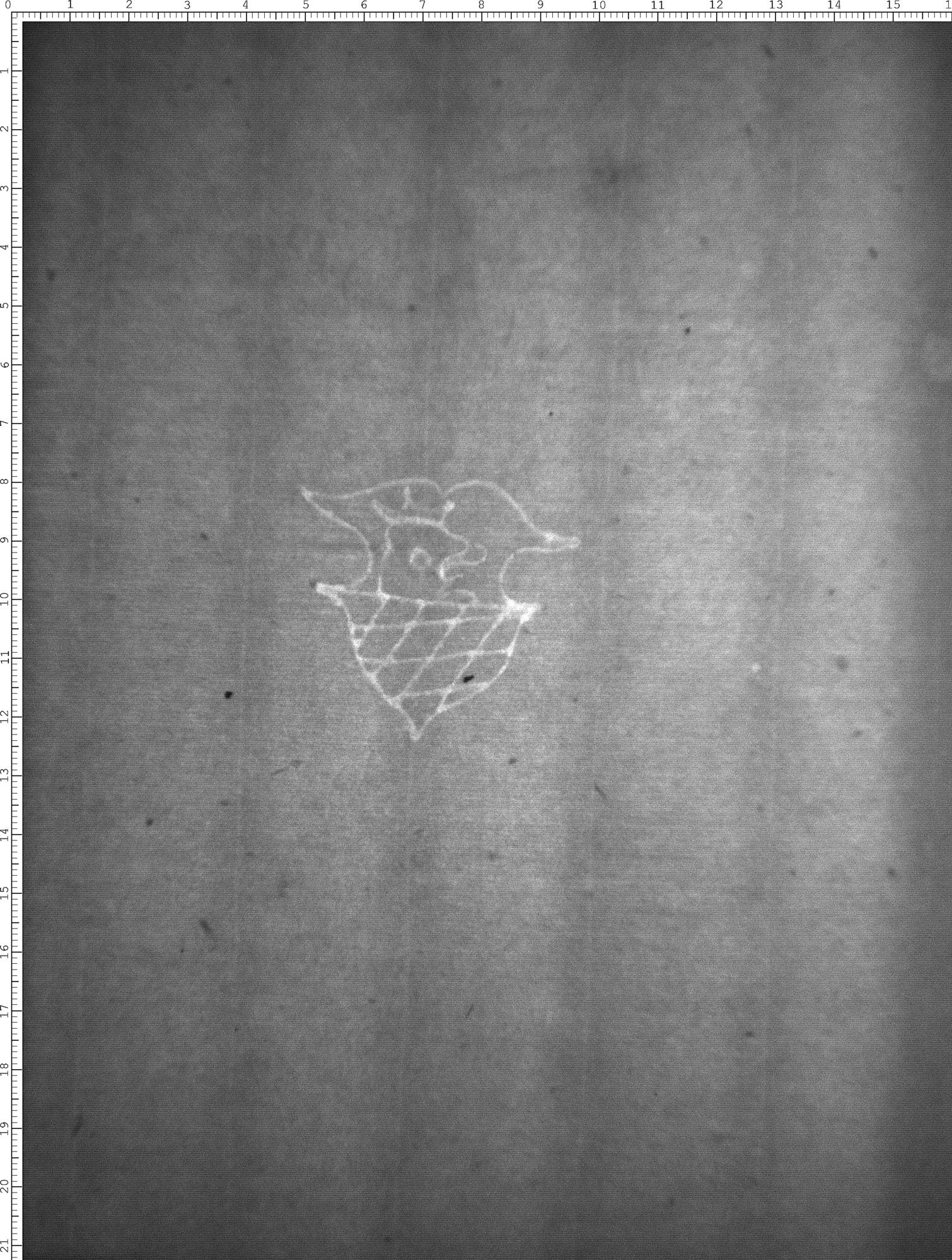 Watermark