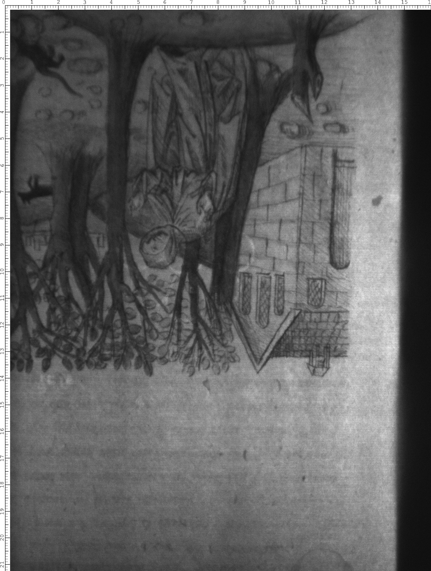 Watermark