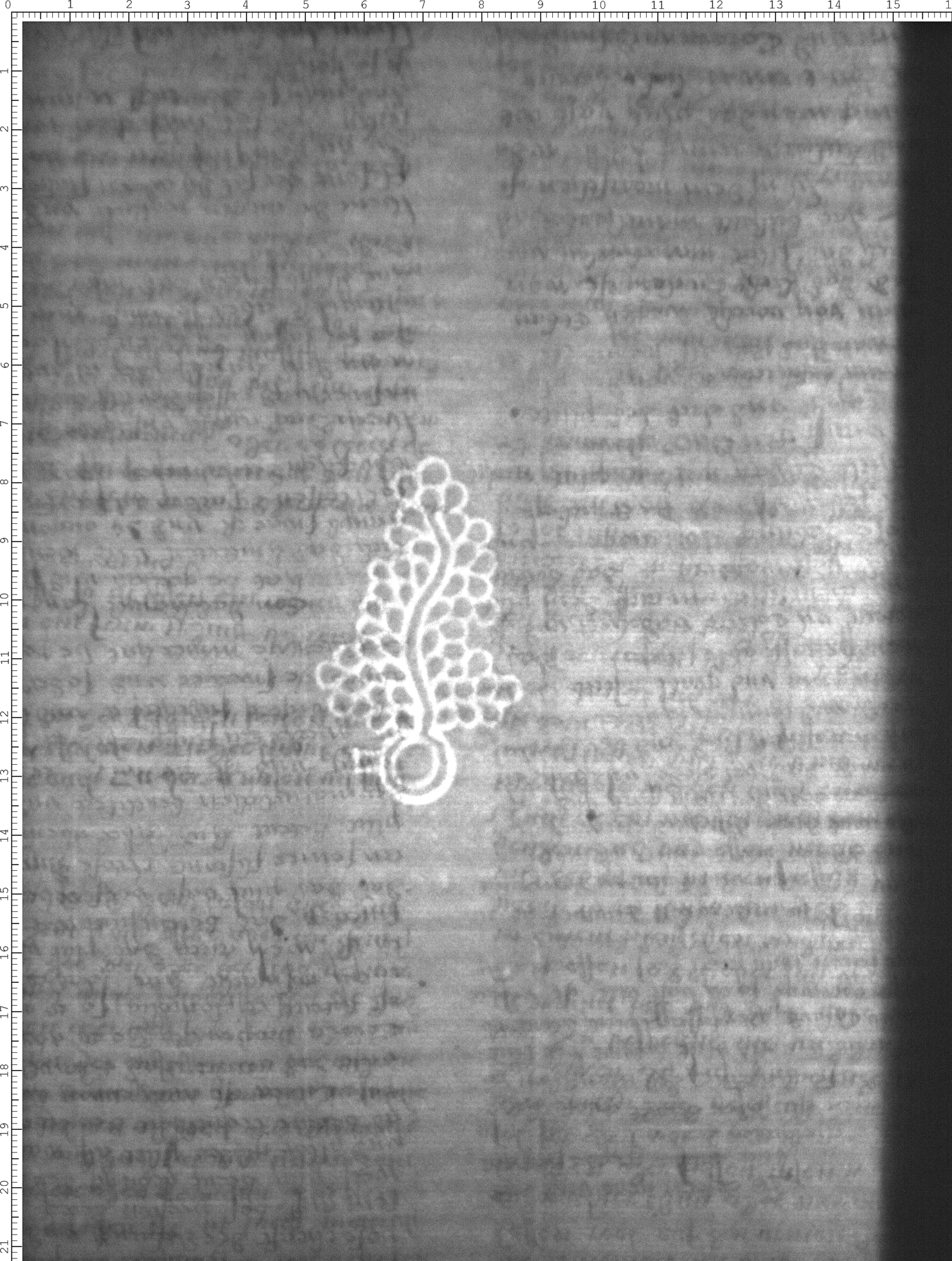 Watermark